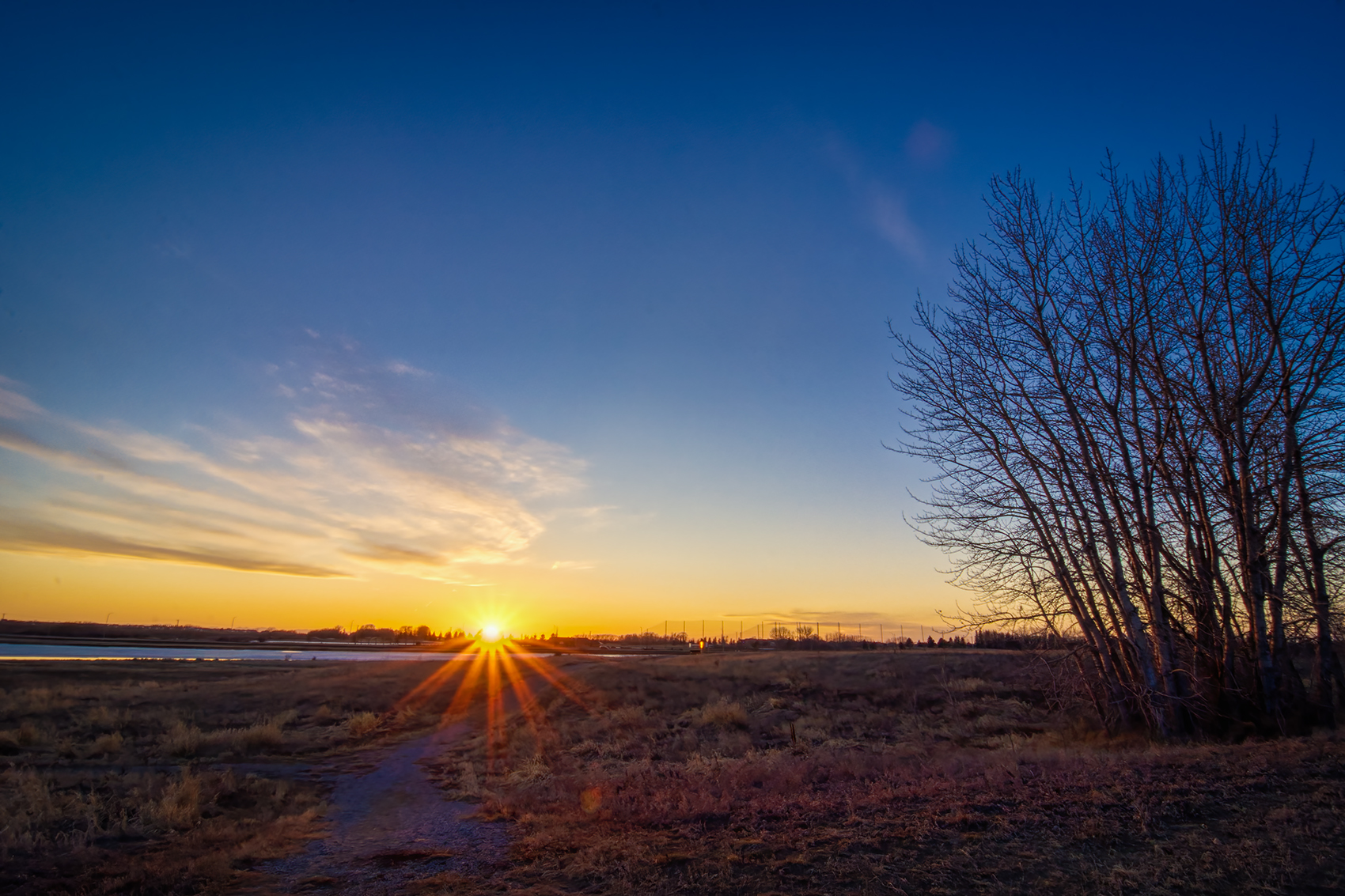 The star of the evening, Gray Park, Strathmore, Alberta, 2024-03-18