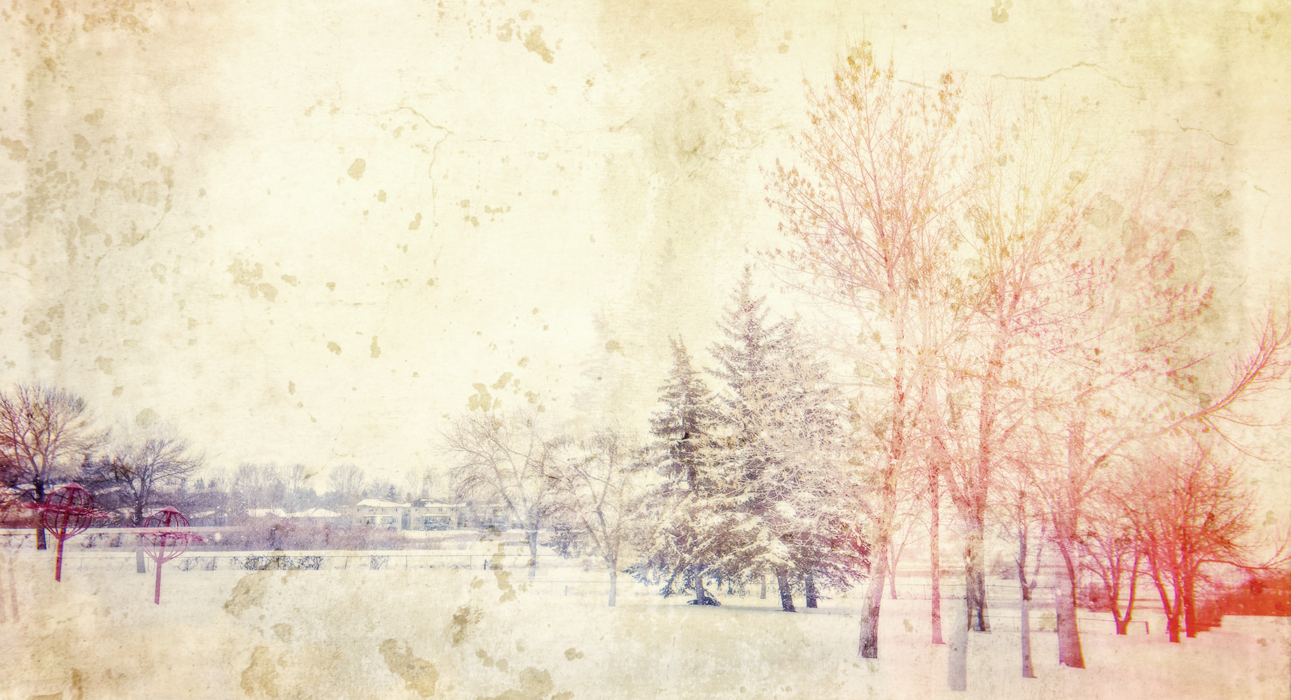 More than meets the eye, Thornbriar Green, Strathmore, AB, 2024-03-23