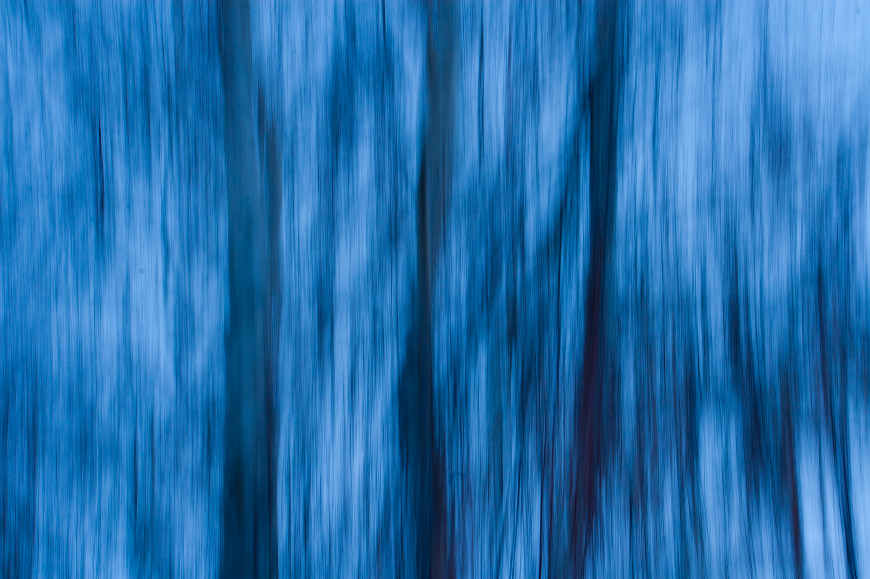 Artificial colours (3), My Front Yard, Thornbriar Green, Strathmore, AB, 2024-03-25