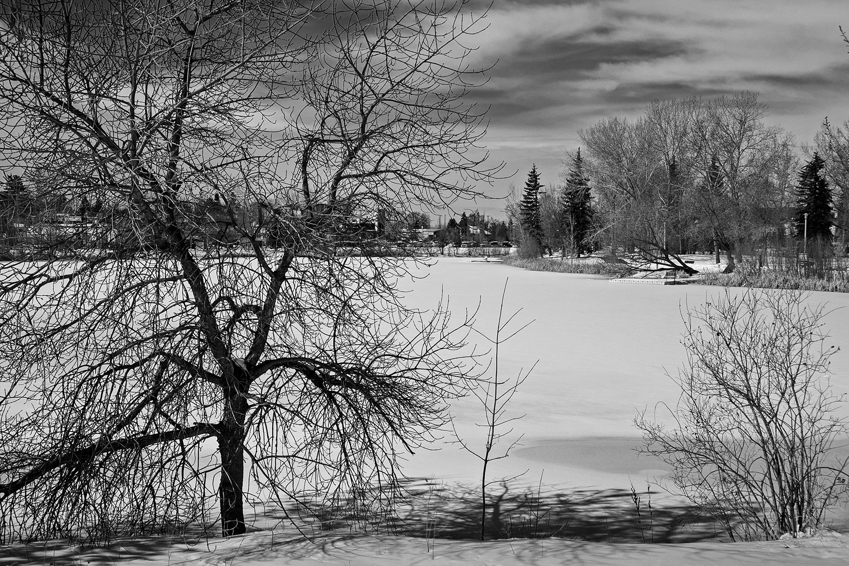 A bit barren, Kinsmen Park, Strathmore, AB, 2024-03-27