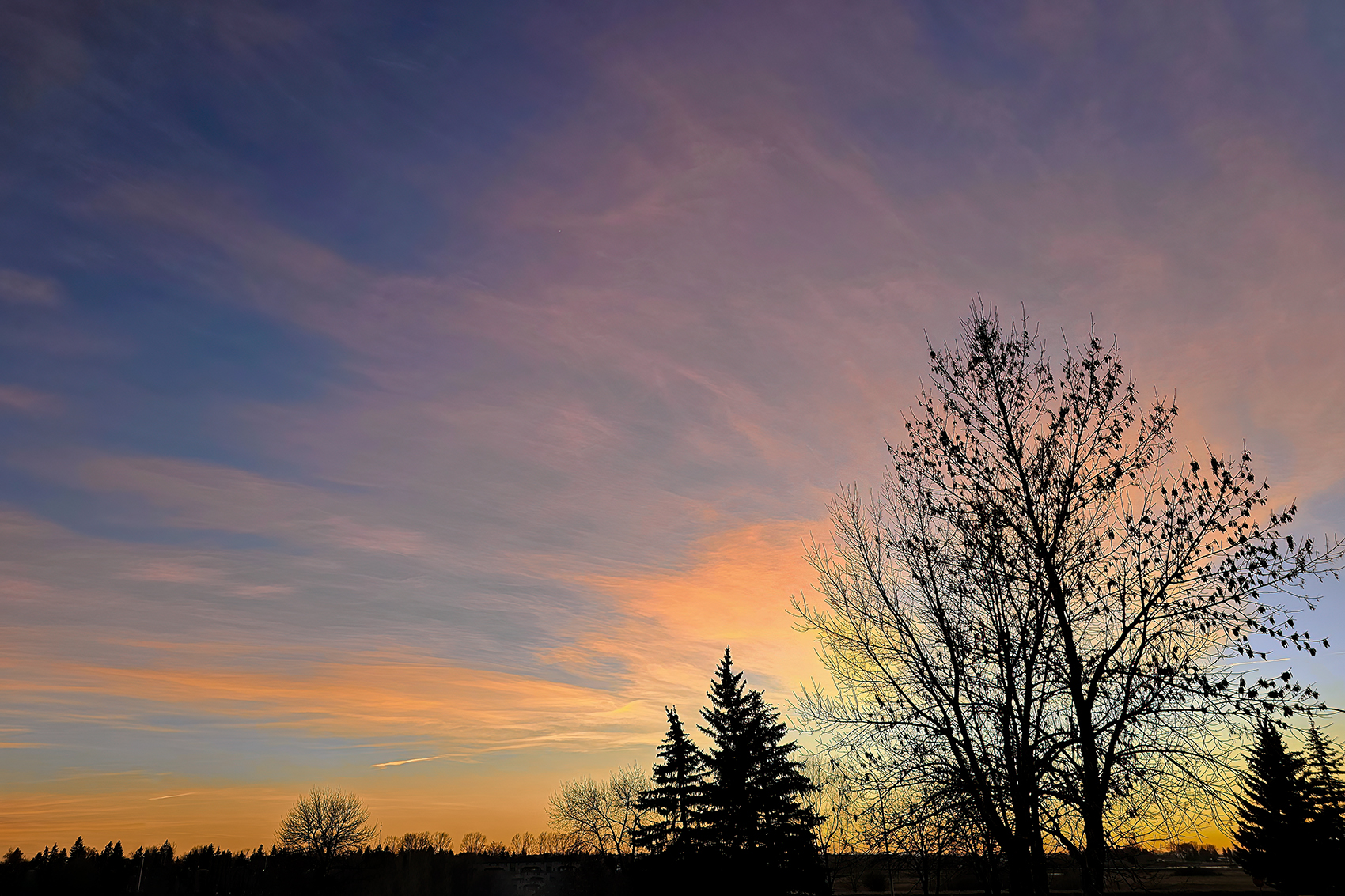 Thank you for this day, Thornbriar Green, Strathmore, AB, 2024-03-17