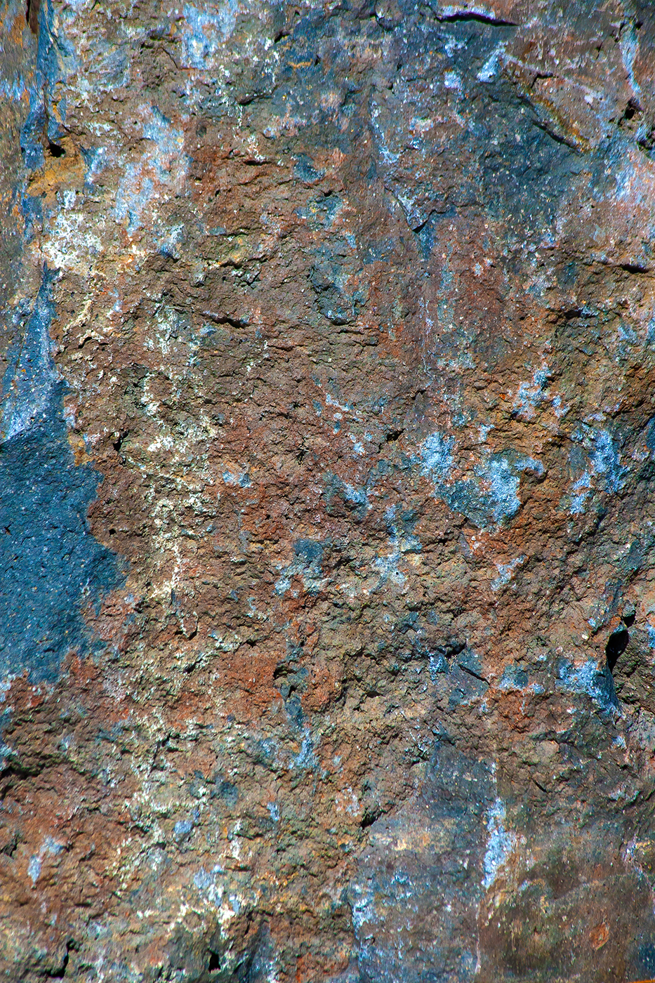 Some local colour, Kinsmen Park, Strathmore, AB, 2024-04-01