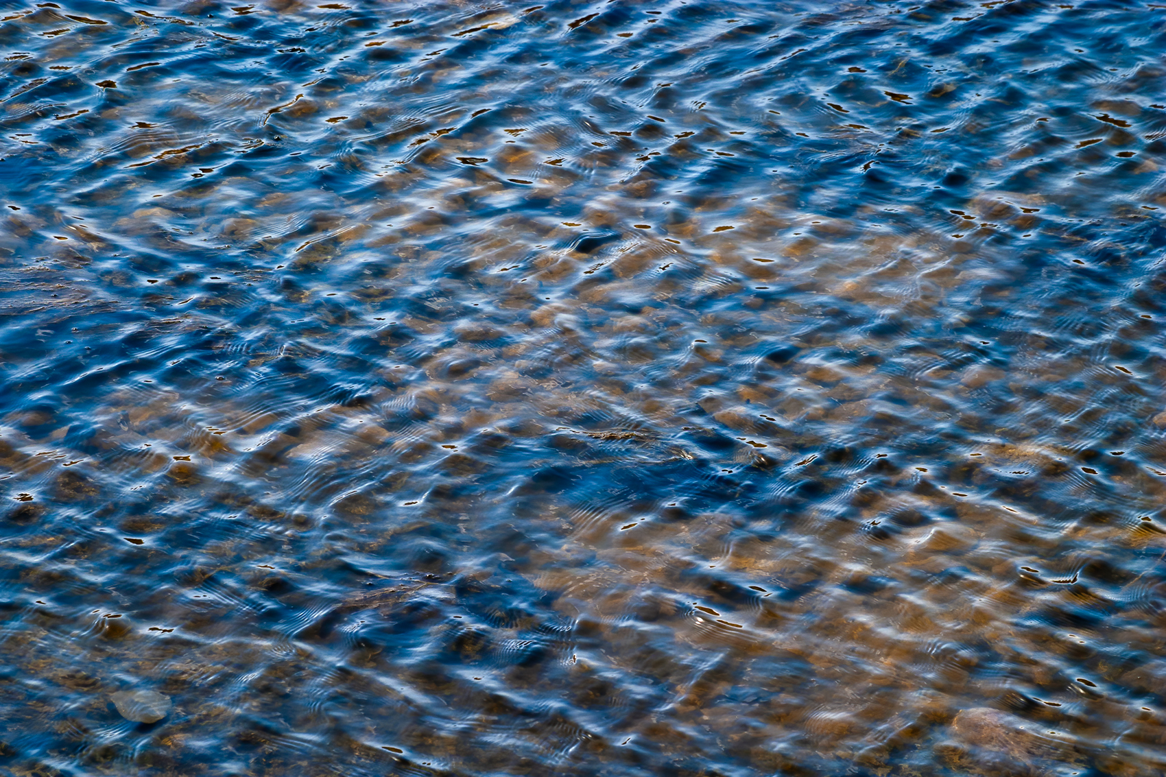 Ripples 01, Irrigation Canal, Thomas Drive, Strathmore, AB, 2024-04-03