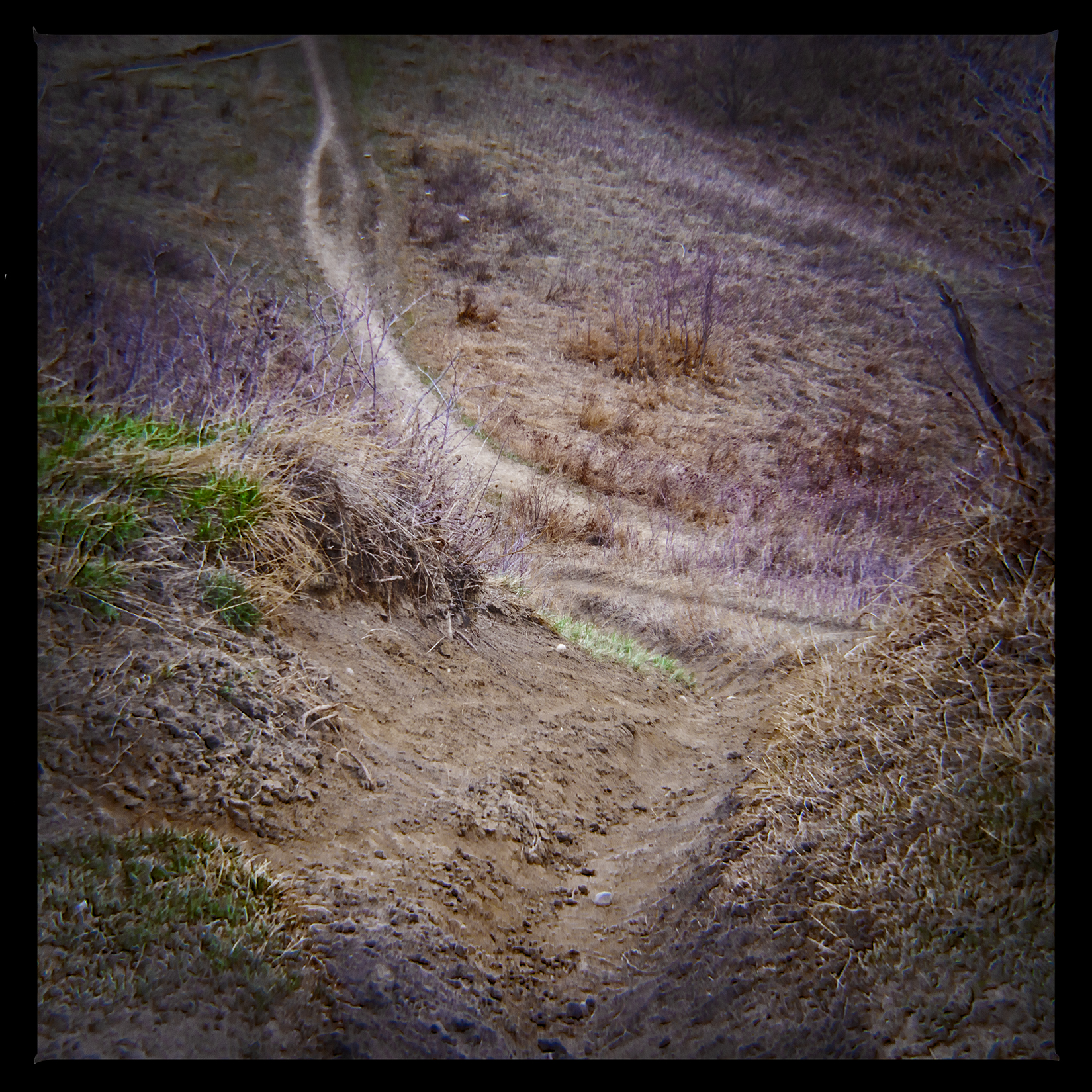 Watch that first step, Bowmont Park, Calgary, AB, 2024-04-12
