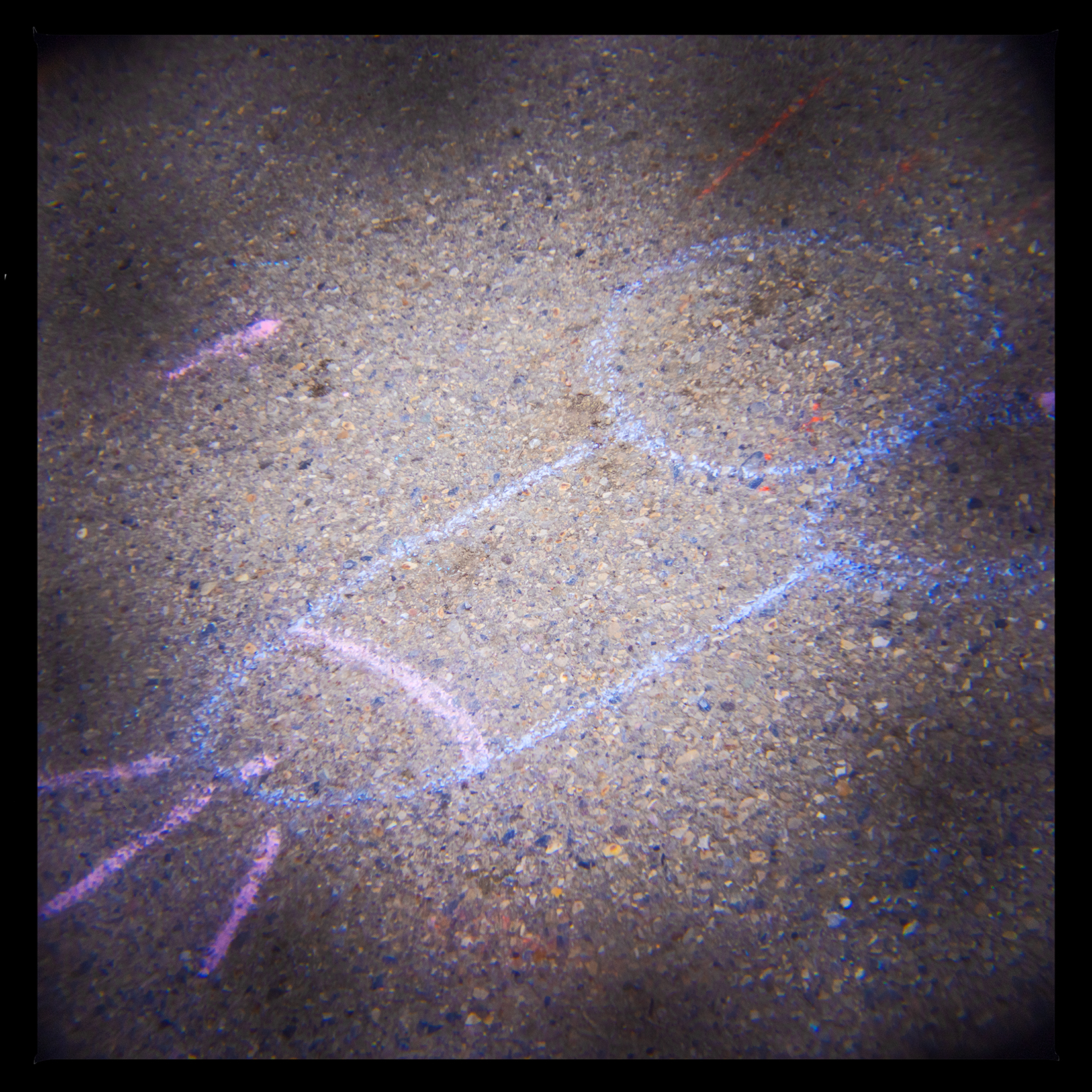 Support local art, Bowmont Park, Calgary, AB, 2024-04-12