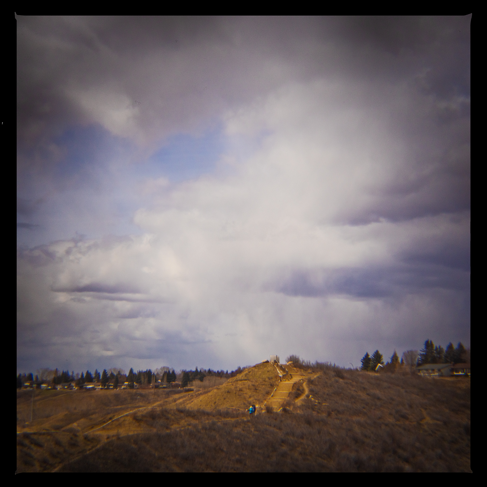 King of the hill, Bowmont Park, Calgary, AB, 2024-04-12
