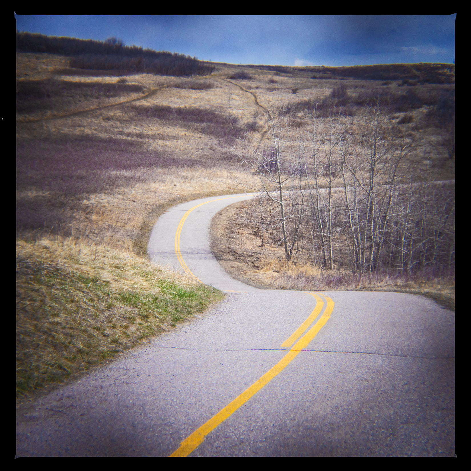 As it snakes through the countryside, Bowmont Park, Calgary, AB, 2024-04-12