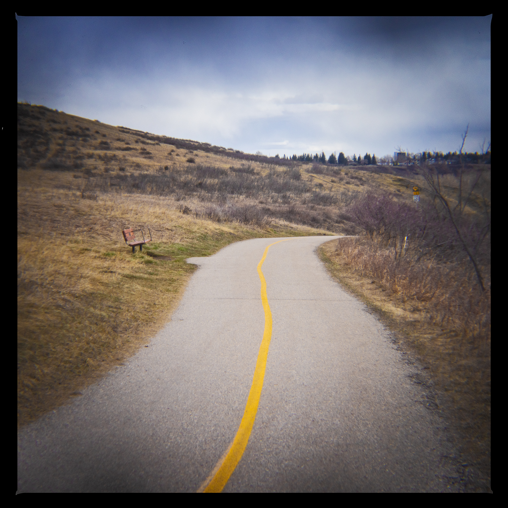 Path to perdition, Bowmont Park, Calgary, AB, 2024-04-12
