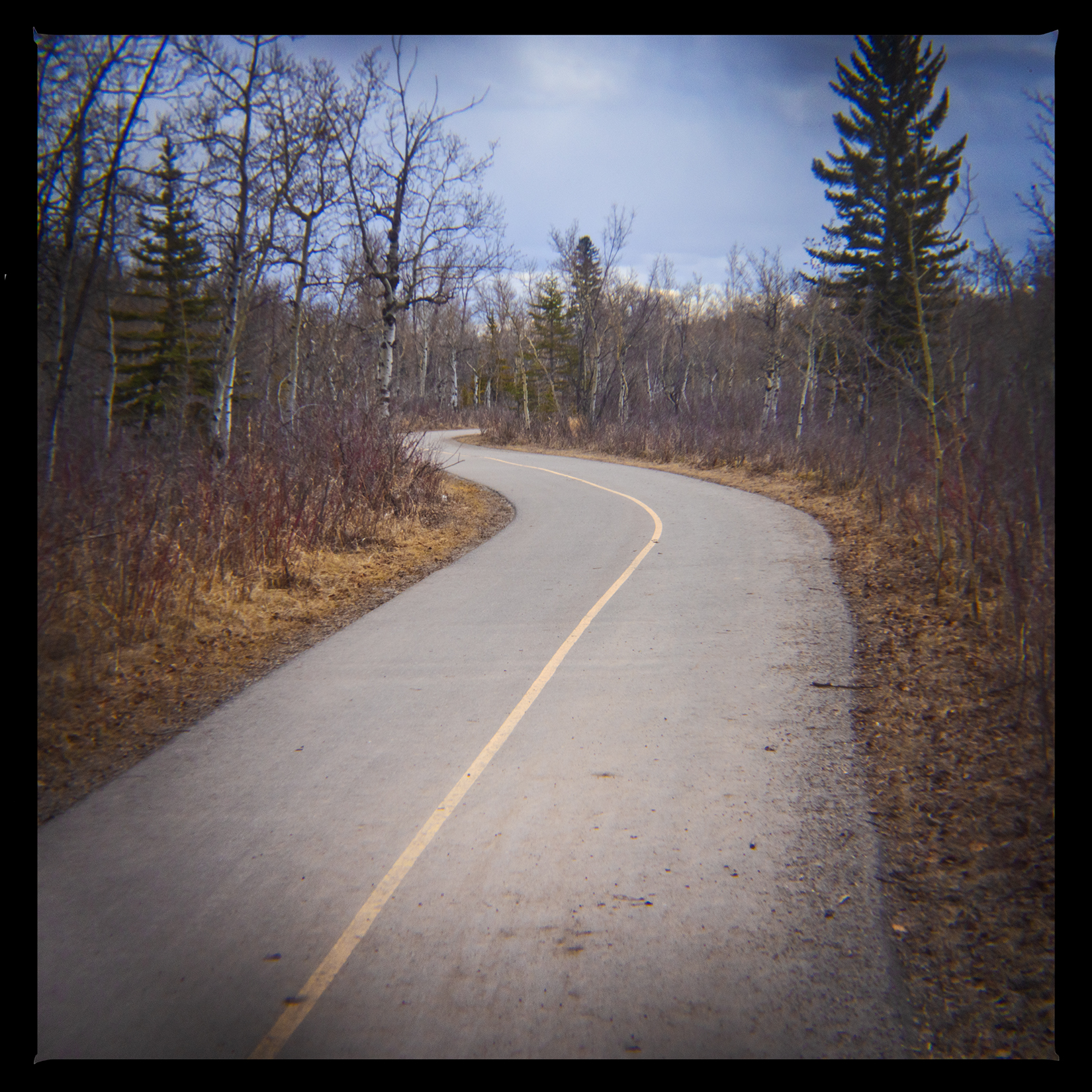The tedius bit, Bowmont Park, Calgary, AB, 2024-04-12