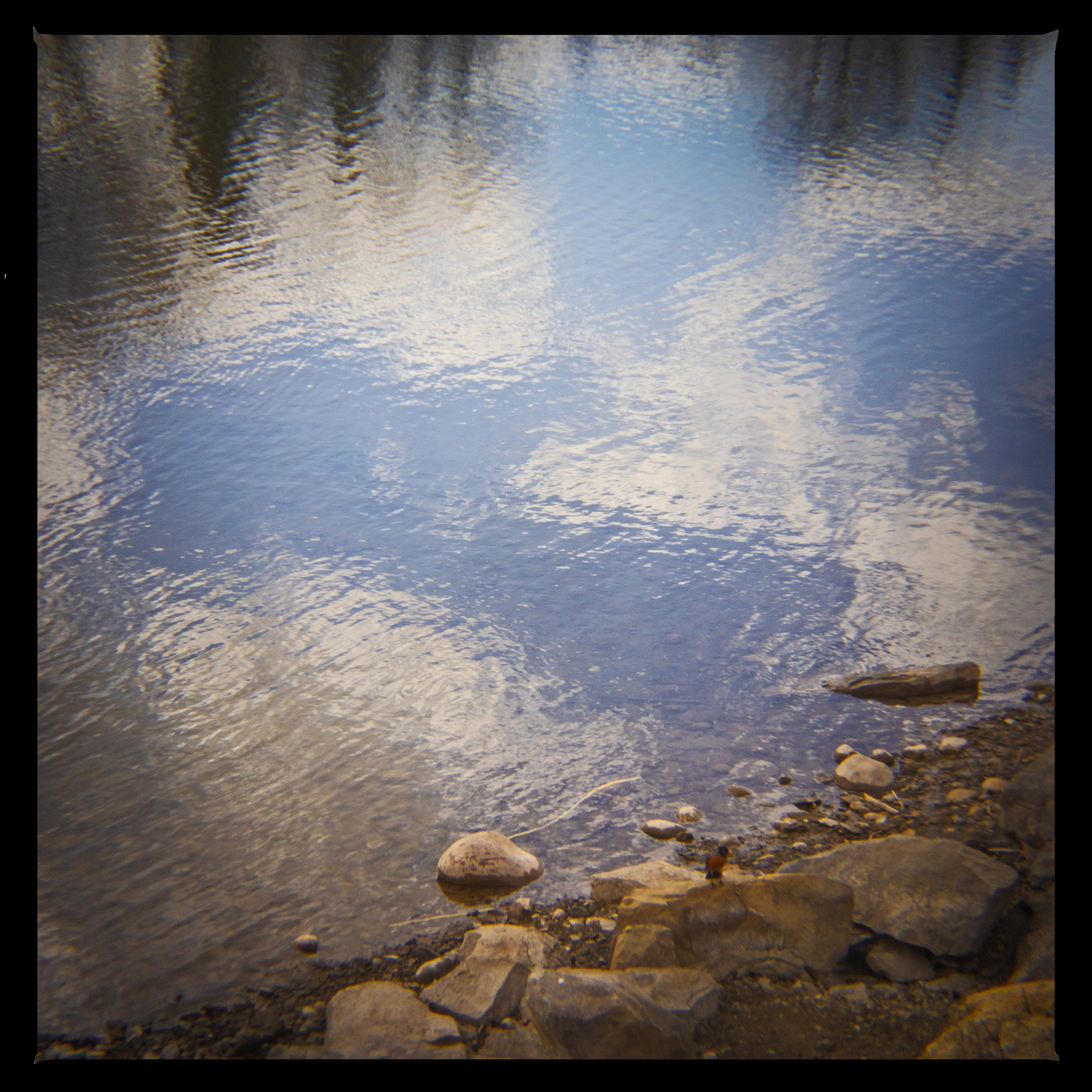 The ice is finally gone, Bowmont Park, Calgary, AB, 2024-04-12
