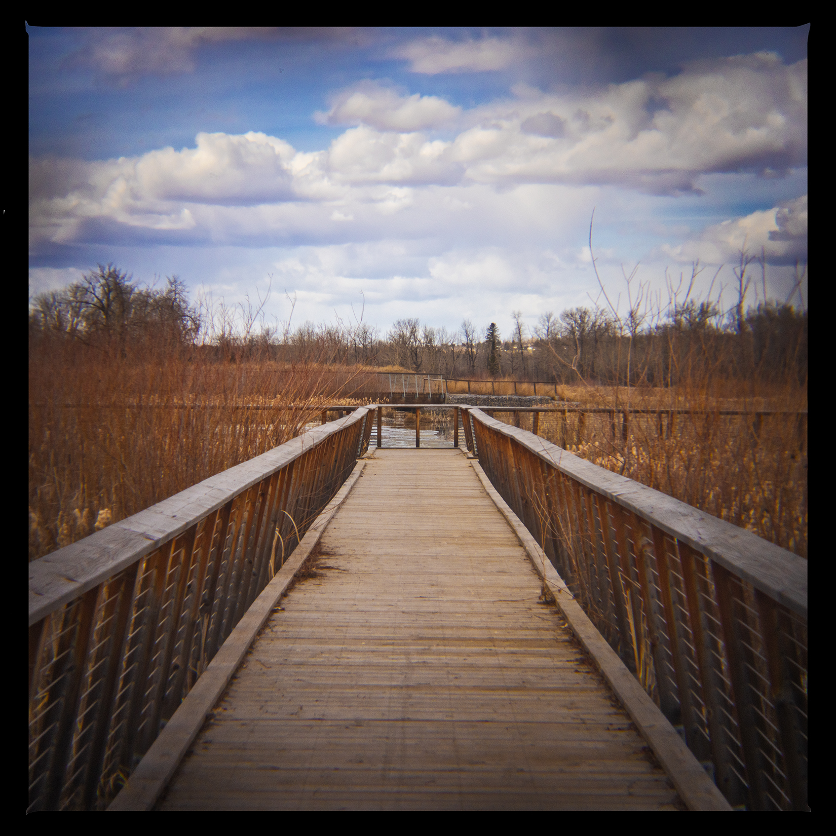 Boardwalk, Bowmont Park, Calgary, AB, 2024-04-12