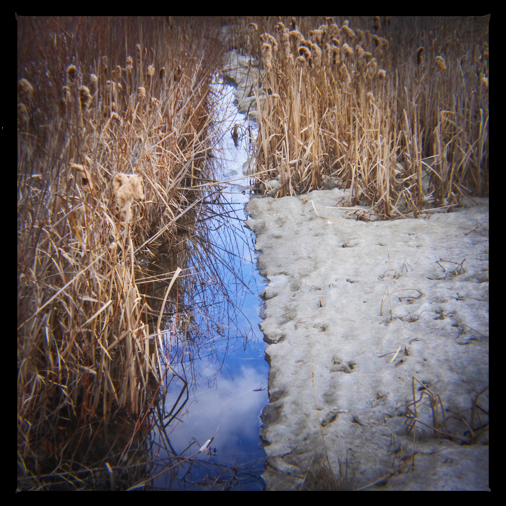 A blue sky cheers everyone up, Bowmont Park, Calgary, AB, 2024-04-12