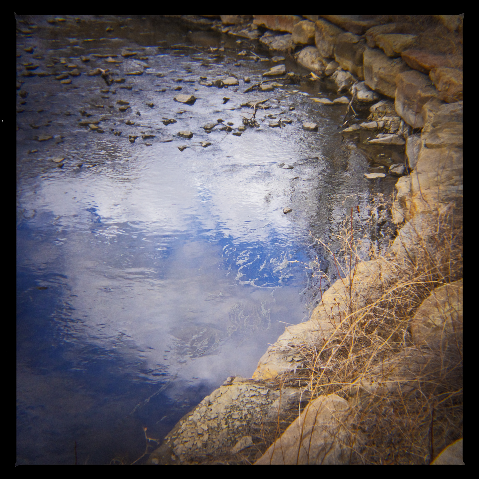 Mediation spot, Bowmont Park, Calgary, AB, 2024-04-12