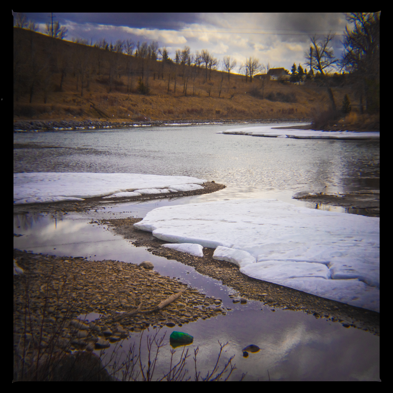 Winter's remains, Bowmont Park, Calgary, AB, 2024-04-12