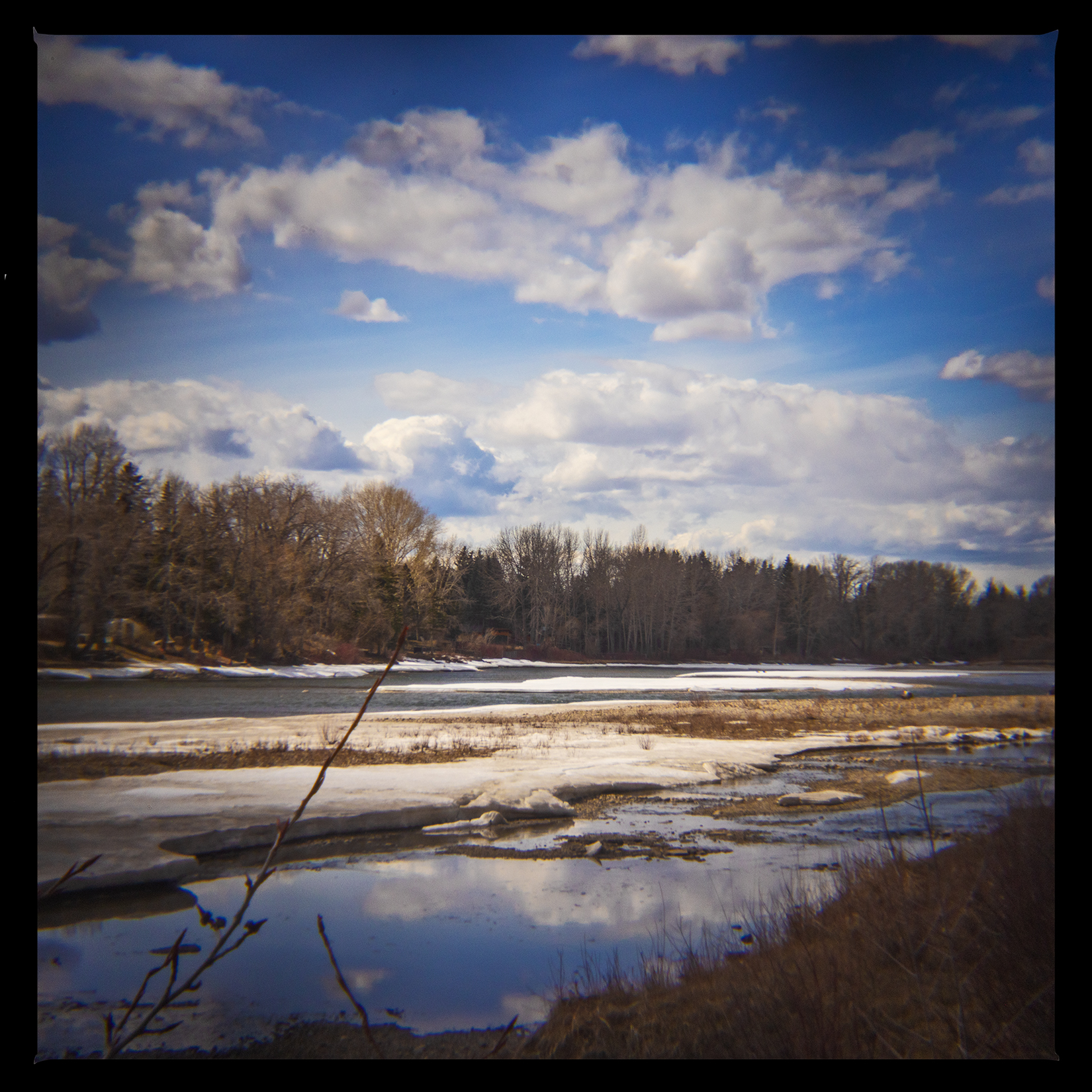 Reality is not so pretty, Bowmont Park, Calgary, AB, 2024-04-12