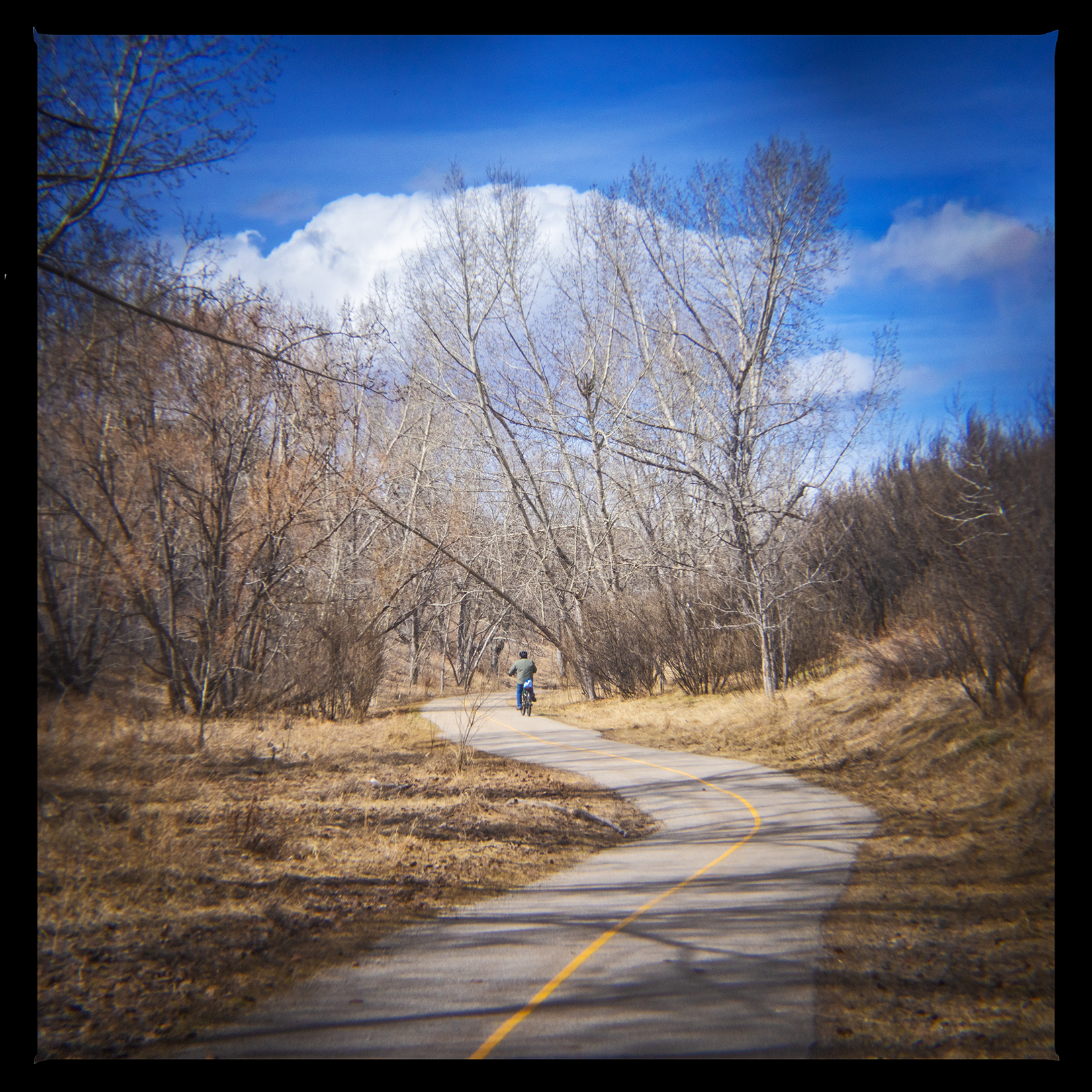 Slow down for curves, Bowmont Park, Calgary, AB, 2024-04-12