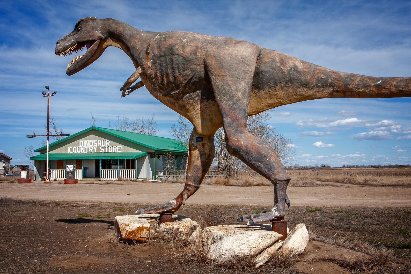 Gettin' Rexxed, Dinosaur Country Store, Newell County No. 4, AB, 2024-04-13