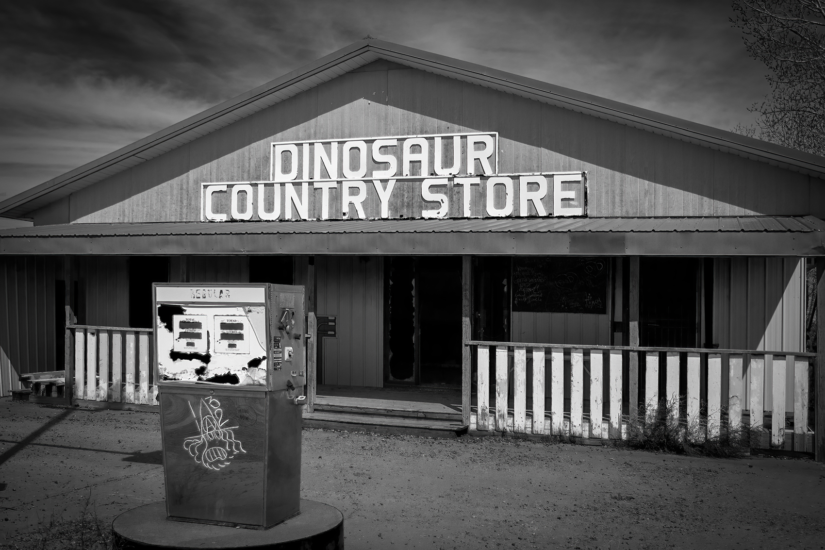 Up close, Dinosaur Country Store, Newell County No. 4, AB, 2024-04-13