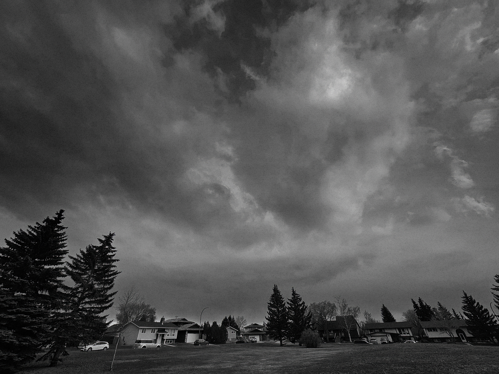 Here comes the pain again 02, Thornbriar Green, Strathmore, AB, 2024-04-15