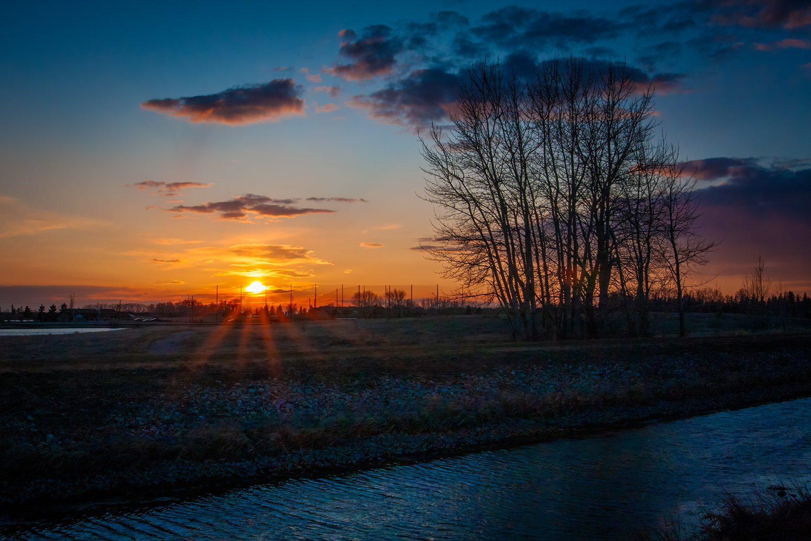 Getting tucked in for the evening, Irrigation Canal, Strathmore, AB, 2024-04-17