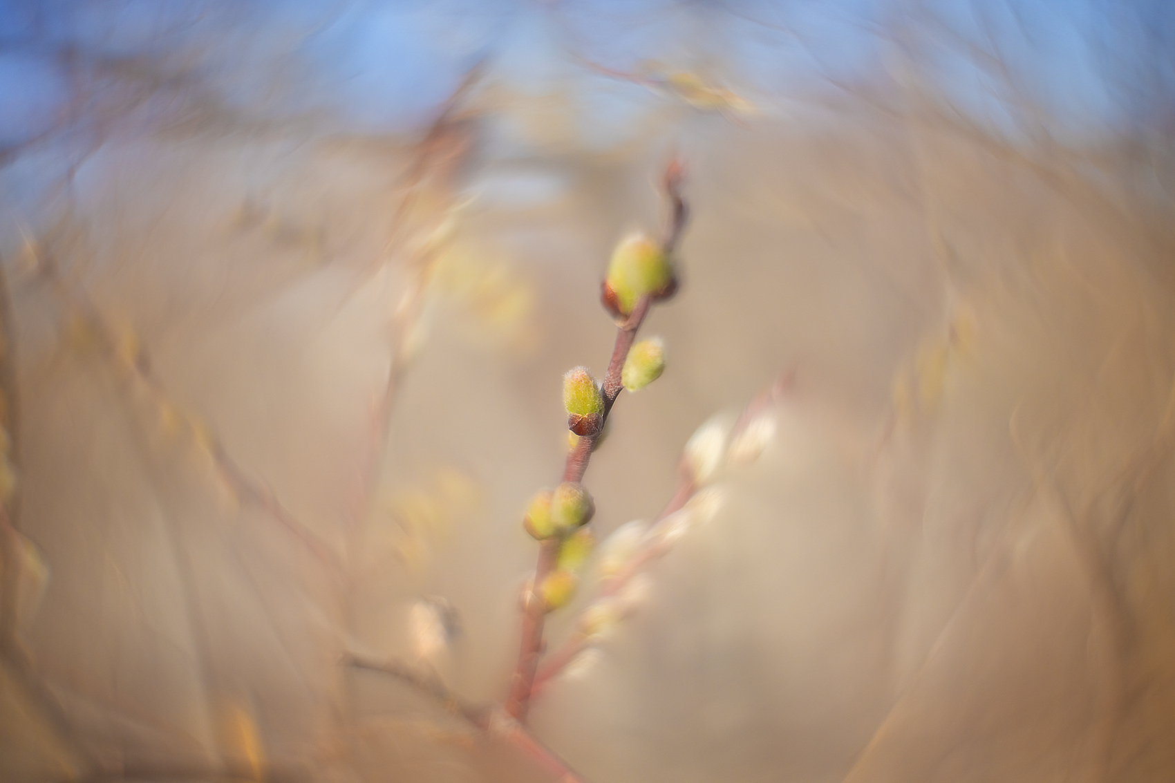 He's a little green, Gray Park, Strathmore, AB, 2024-04-23