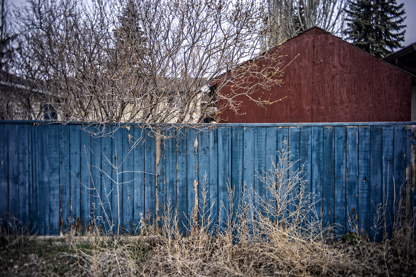 Red bright and blue, My Back Alley, Strathmore, AB, 2024-04-24