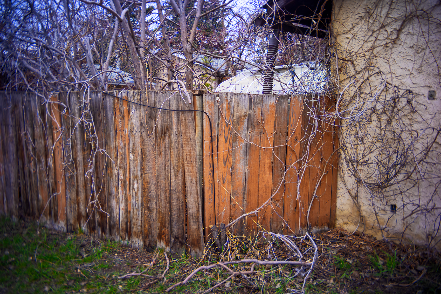 It's a bit crowded, My Back Alley, Strathmore, AB, 2024-04-24