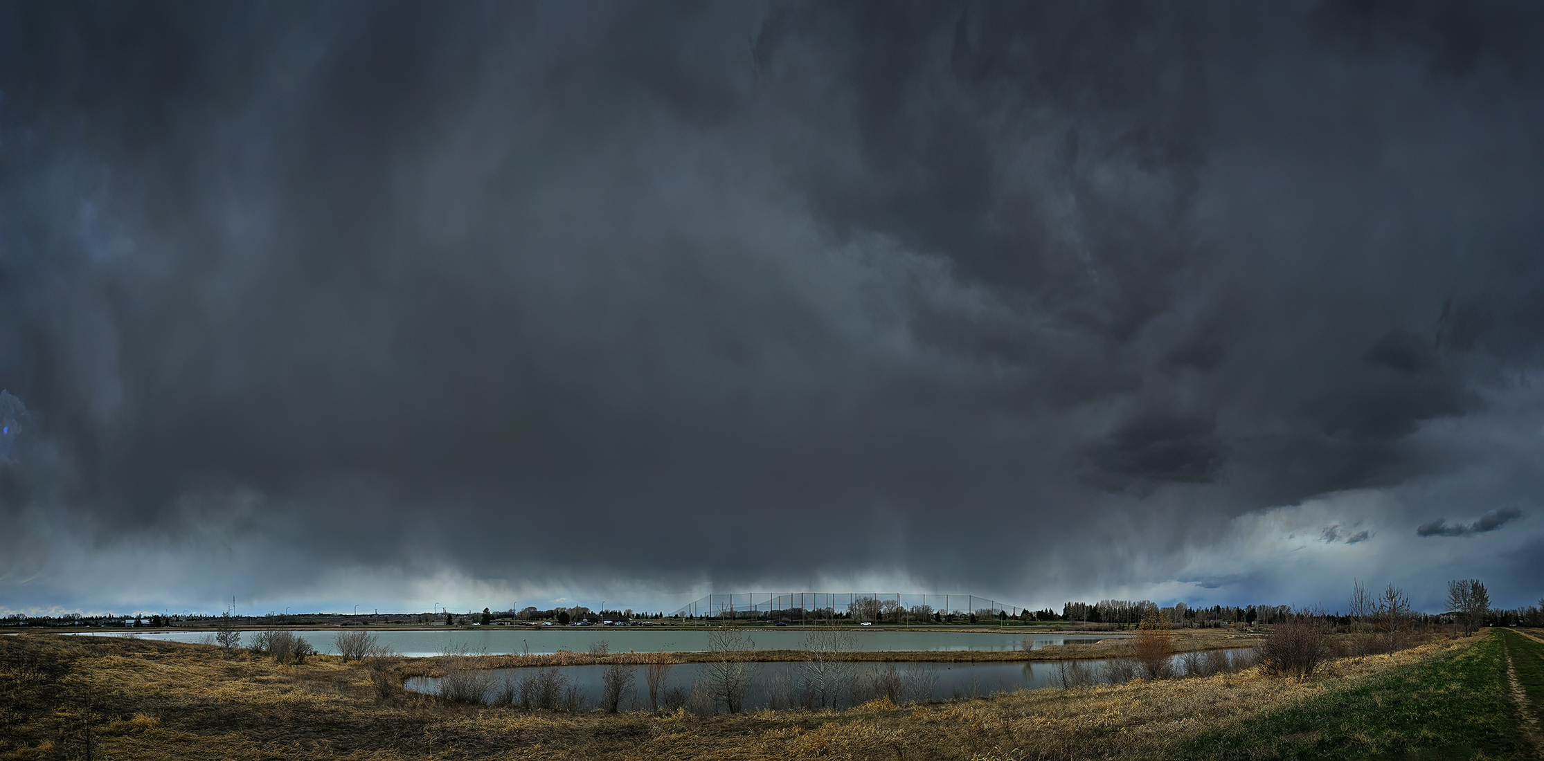 Trepidatious lunch hour walk, Gray Park, Strathmore, AB, 2024-04-29