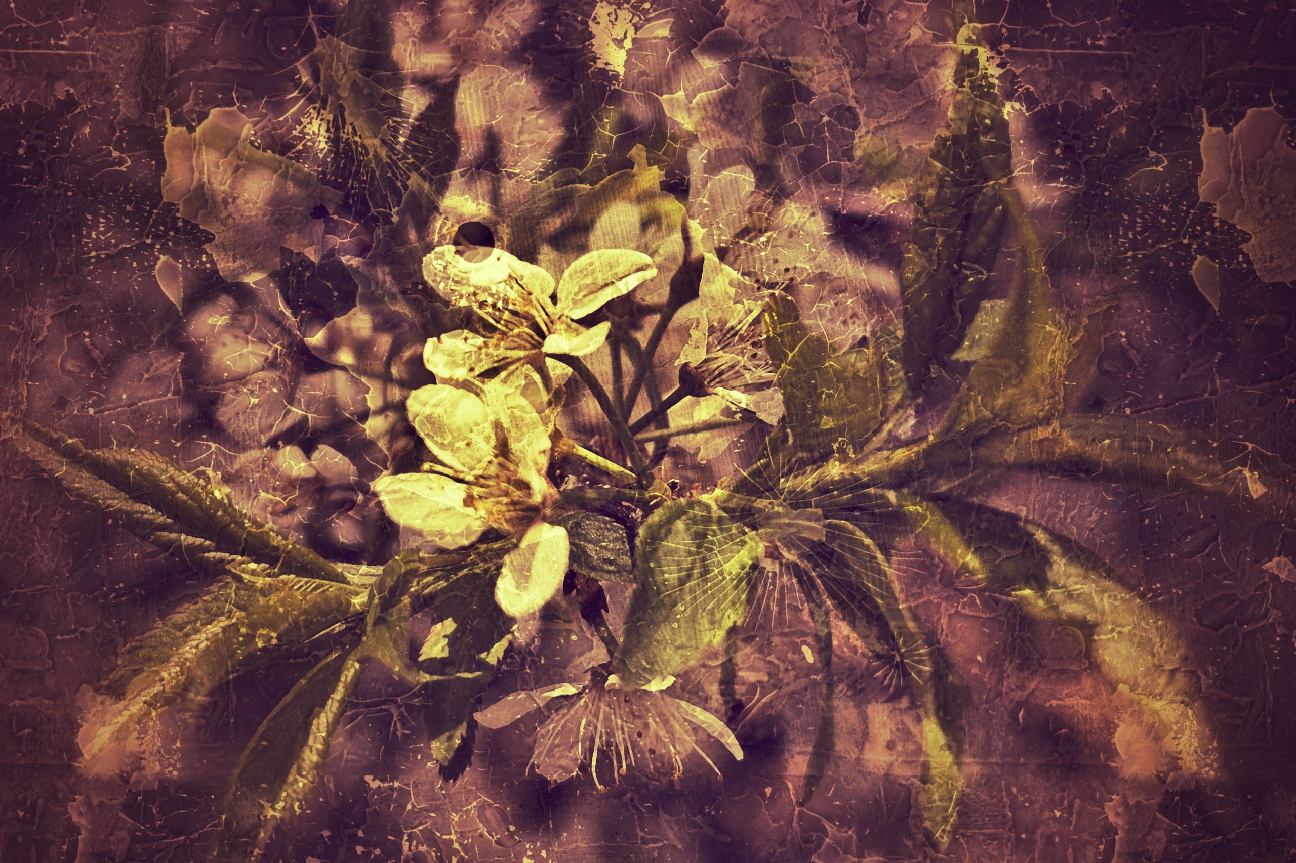 Hipster stylized plants 04, Hospital Grounds, Provost, AB, 2024-05-18