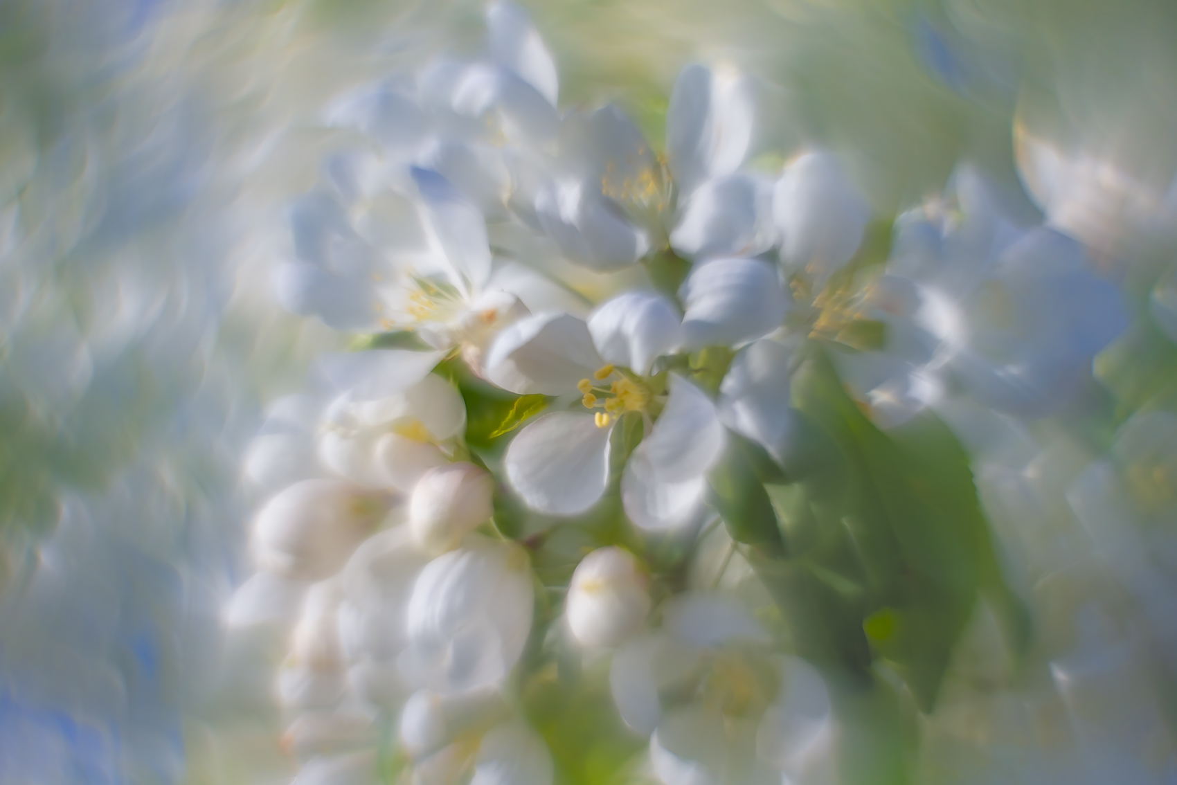 Bright outlook, Thomas Drive, Strathmore, AB, 2024-05-27