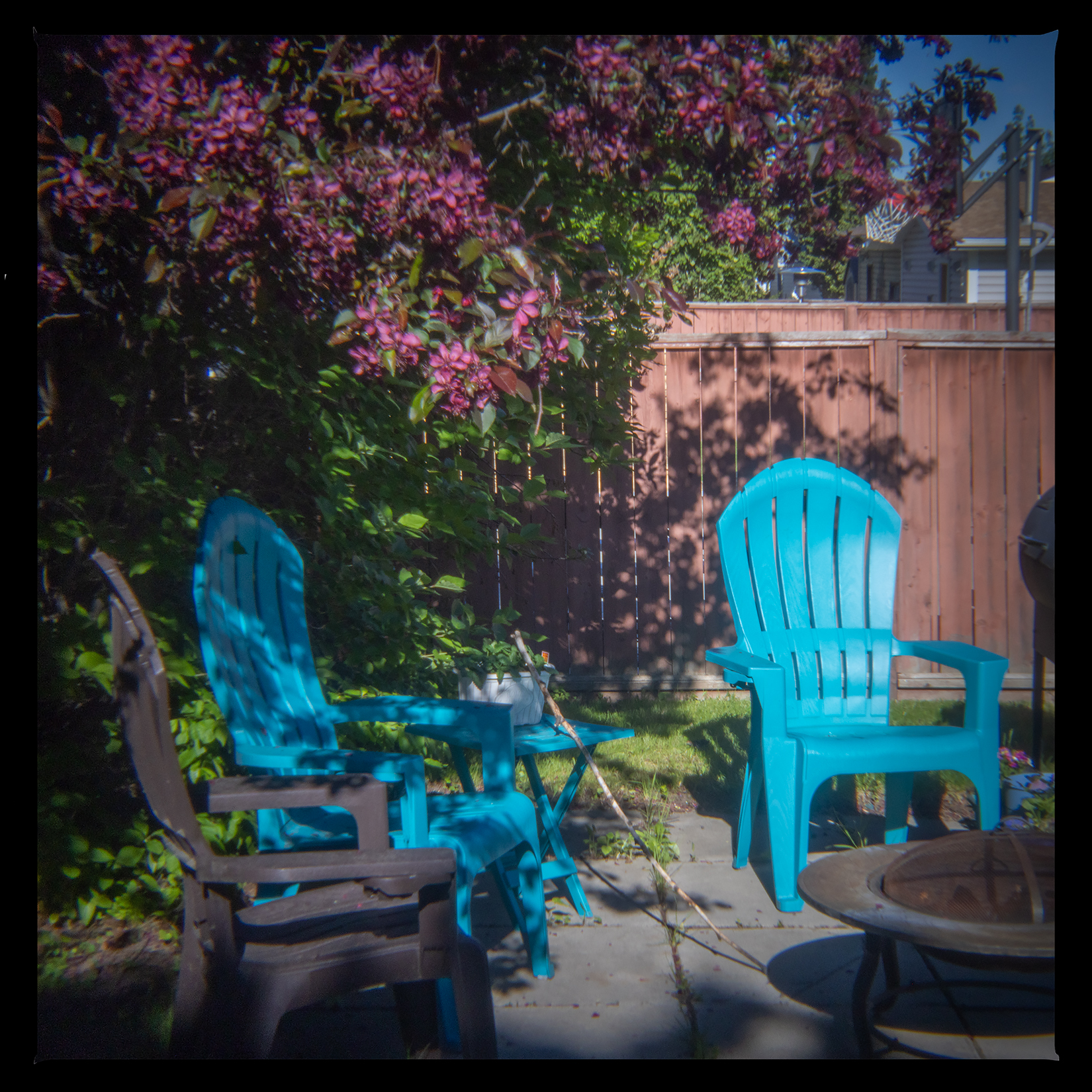 Ready to chillax, My Backyard, Strathmore, AB, 2024-06-04