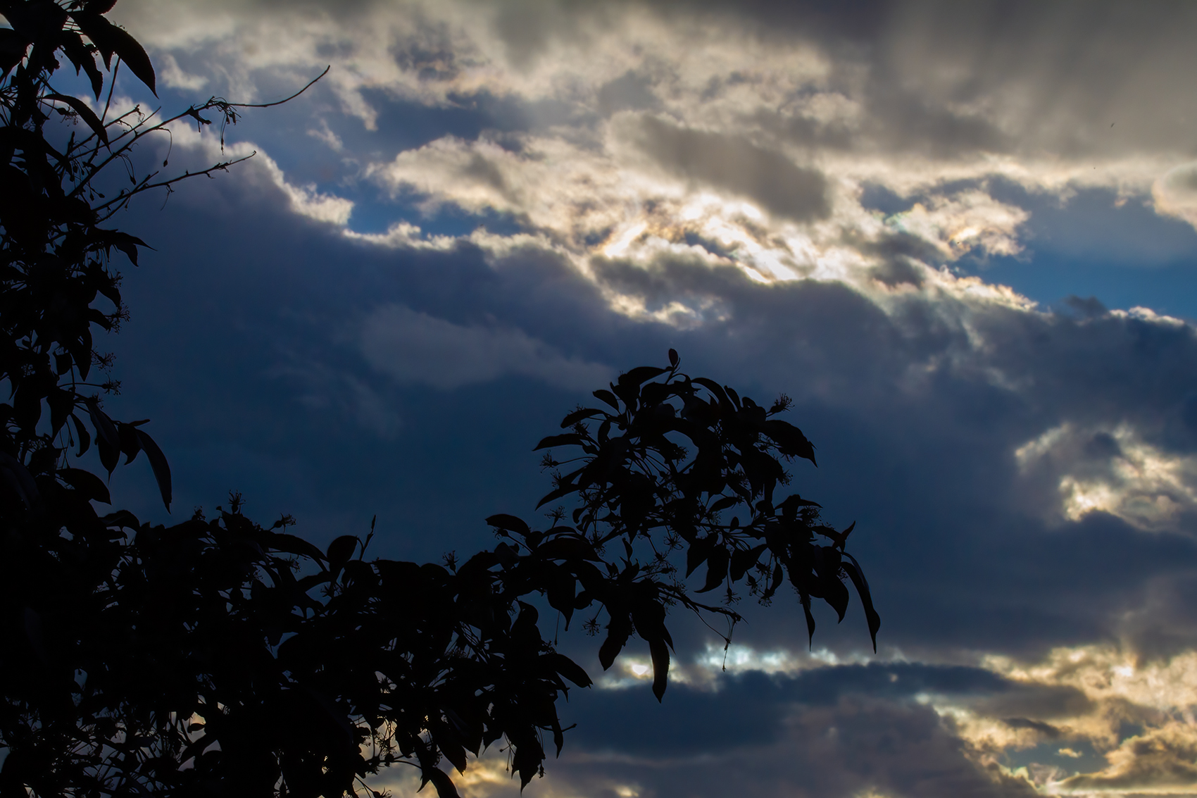 Storm before the clouds, My Backyard, Strathmore, AB, 2024-06-10