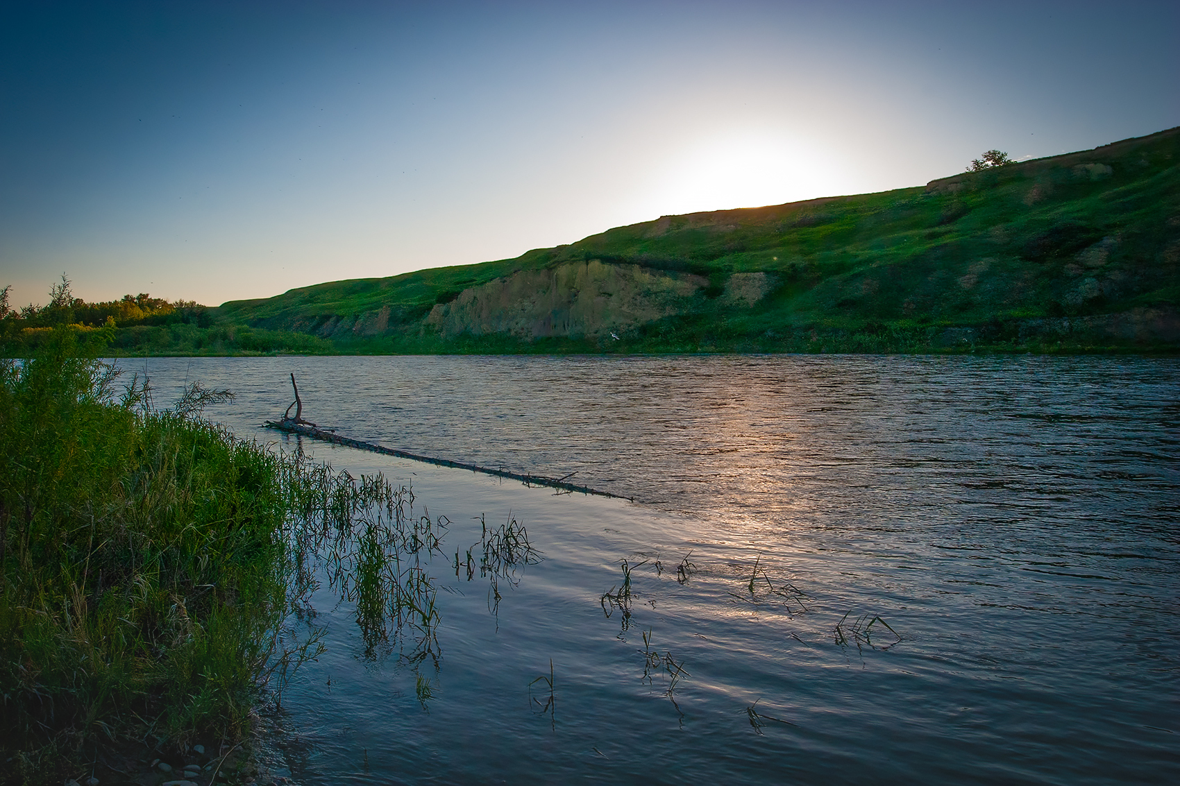 Into the sun, Bow River, Wyndham Carseland Park, AB, 2024-06-12
