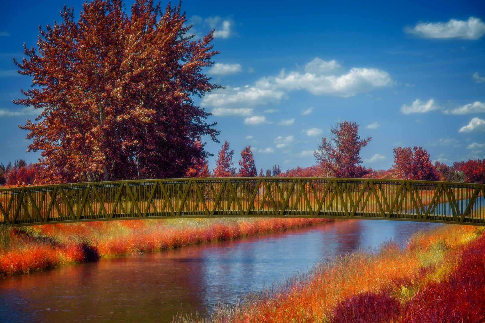 Rainbow Bridge, False Colour Faux Infrared, Strathmore, AB, 2024-06-13