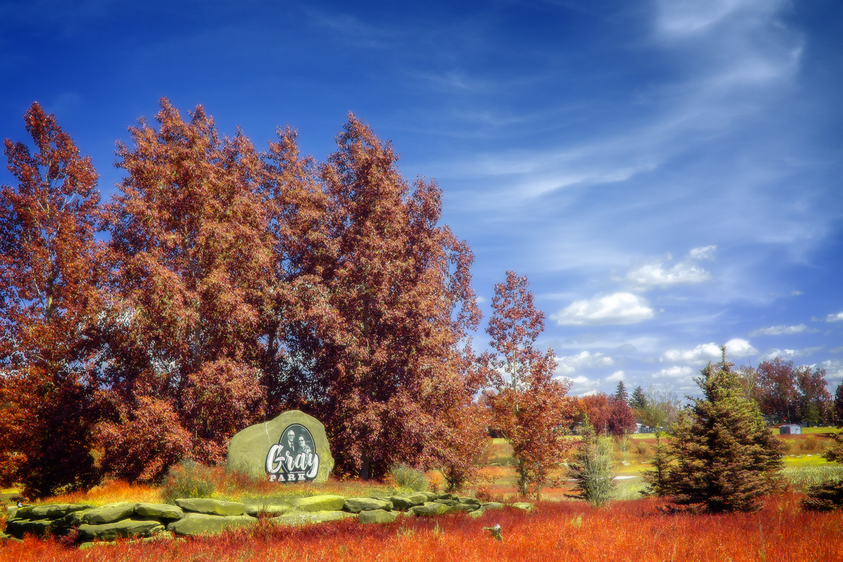 Gray Park signage, Landscape, False Colour Faux Infrared, Strathmore, AB, 2024-06-13
