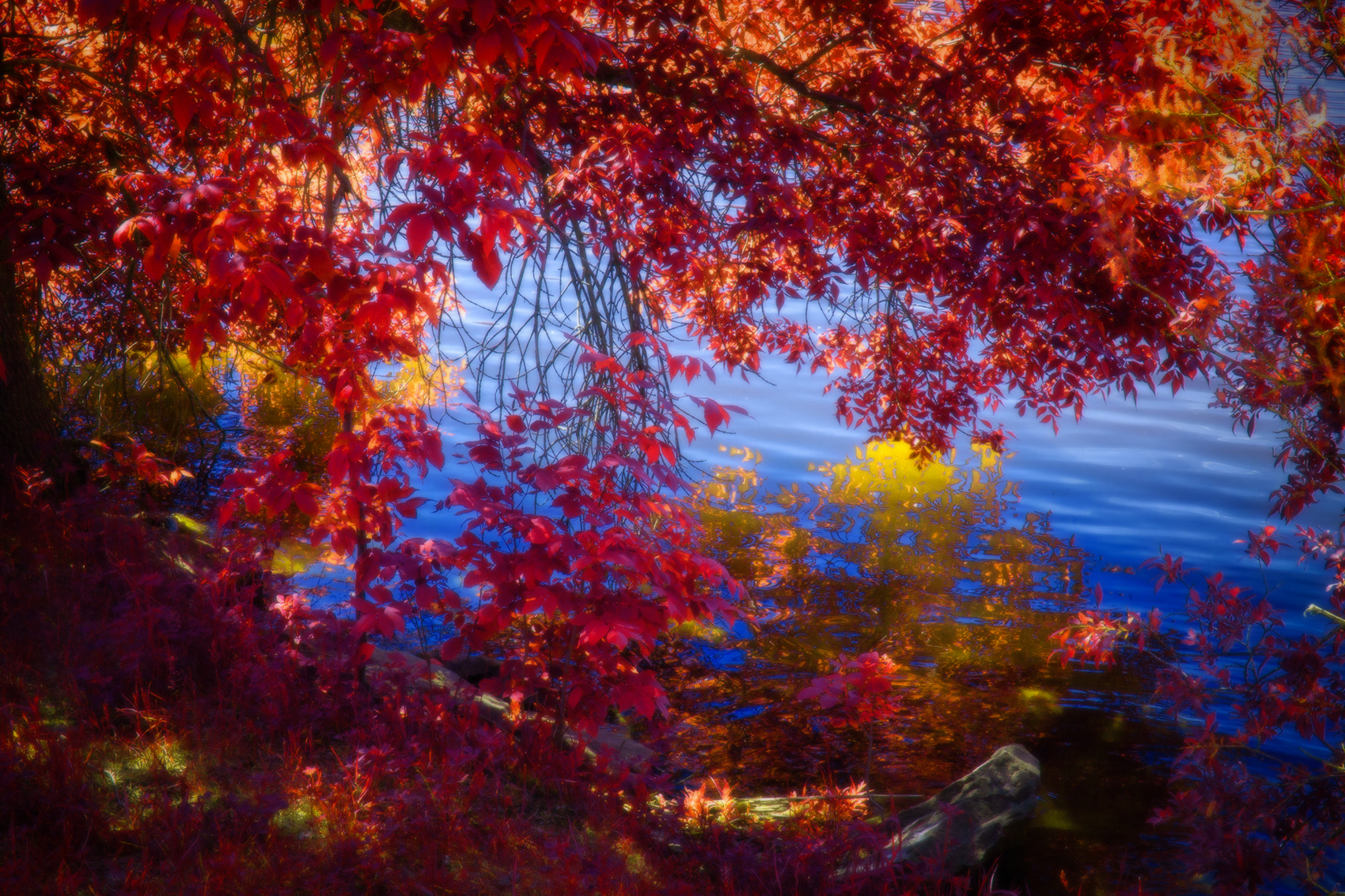 All that glitters, False Colour Faux Infrared, Strathmore, AB, 2024-06-13