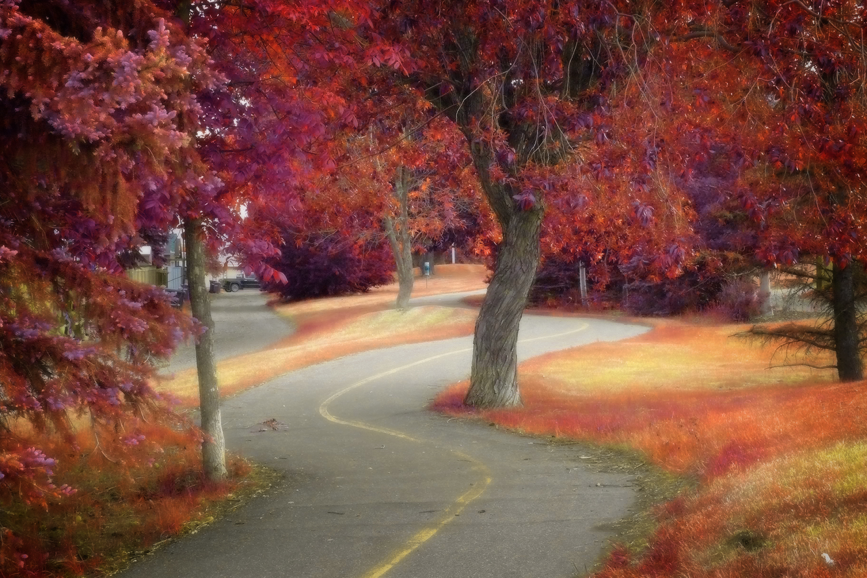 Dem Curves, False Colour Faux Infrared, Strathmore, AB, 2024-06-13