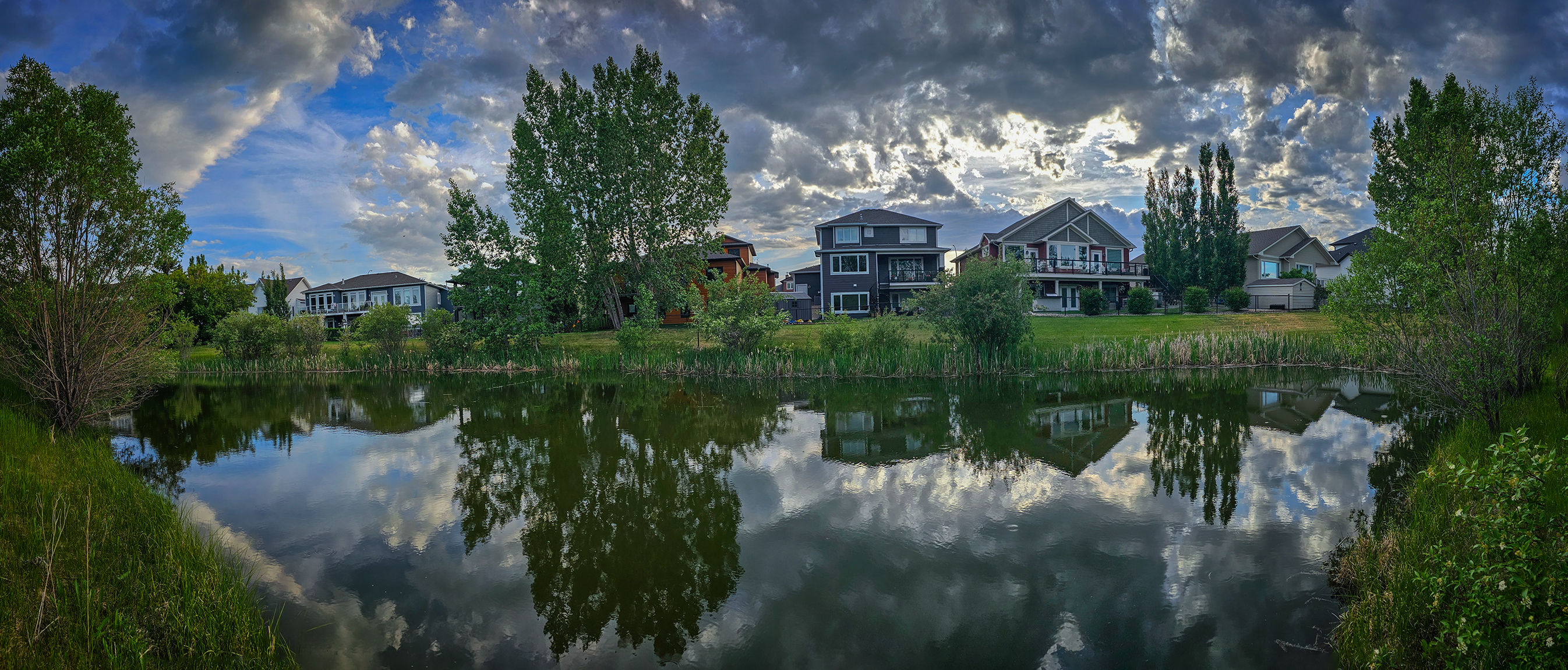 That pond, Hillview Estates, Strathmore, AB, 2024-06-14