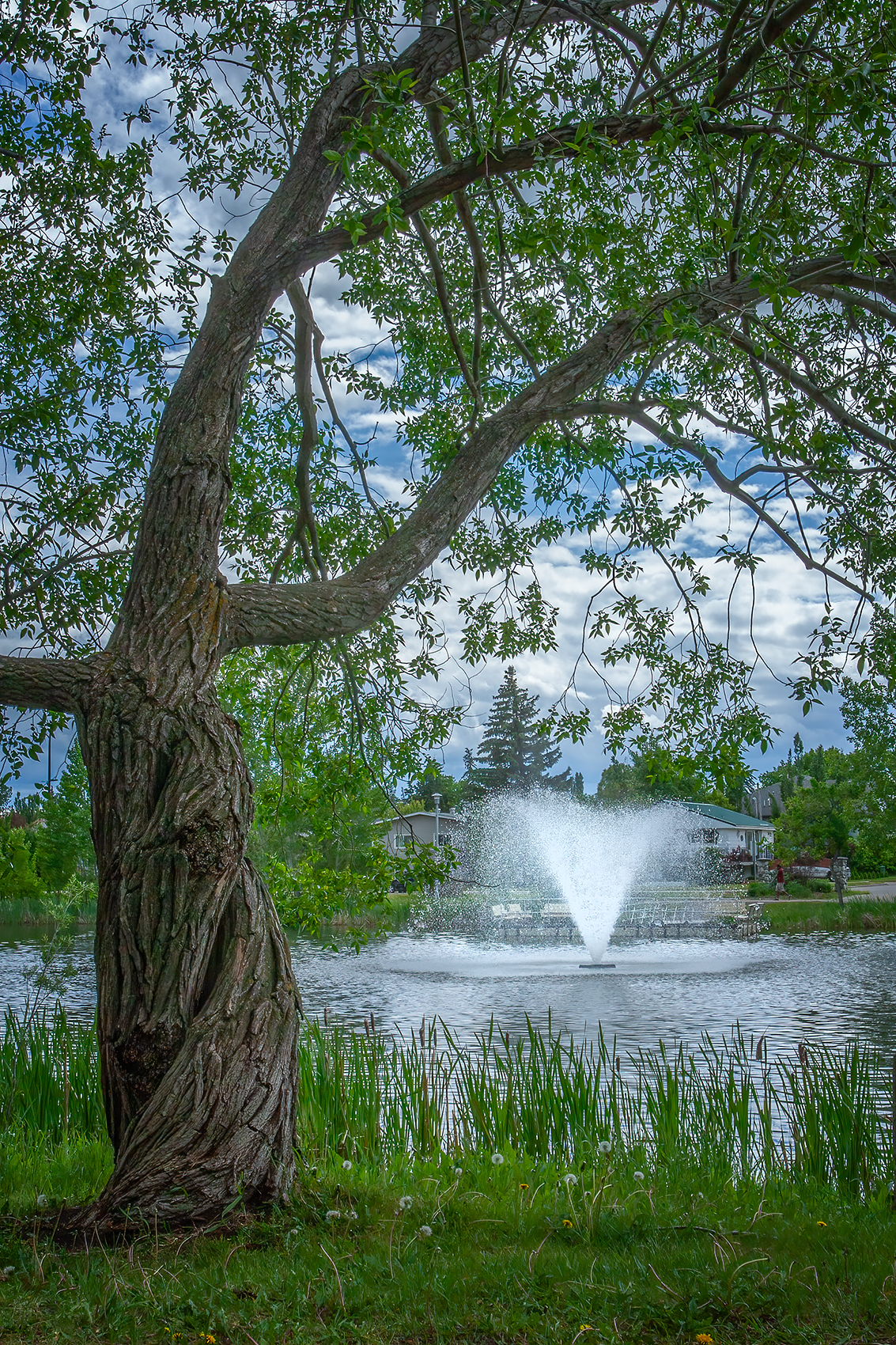 Fountain, Kinsmen Park, Strathmore, AB, 2024-06-17