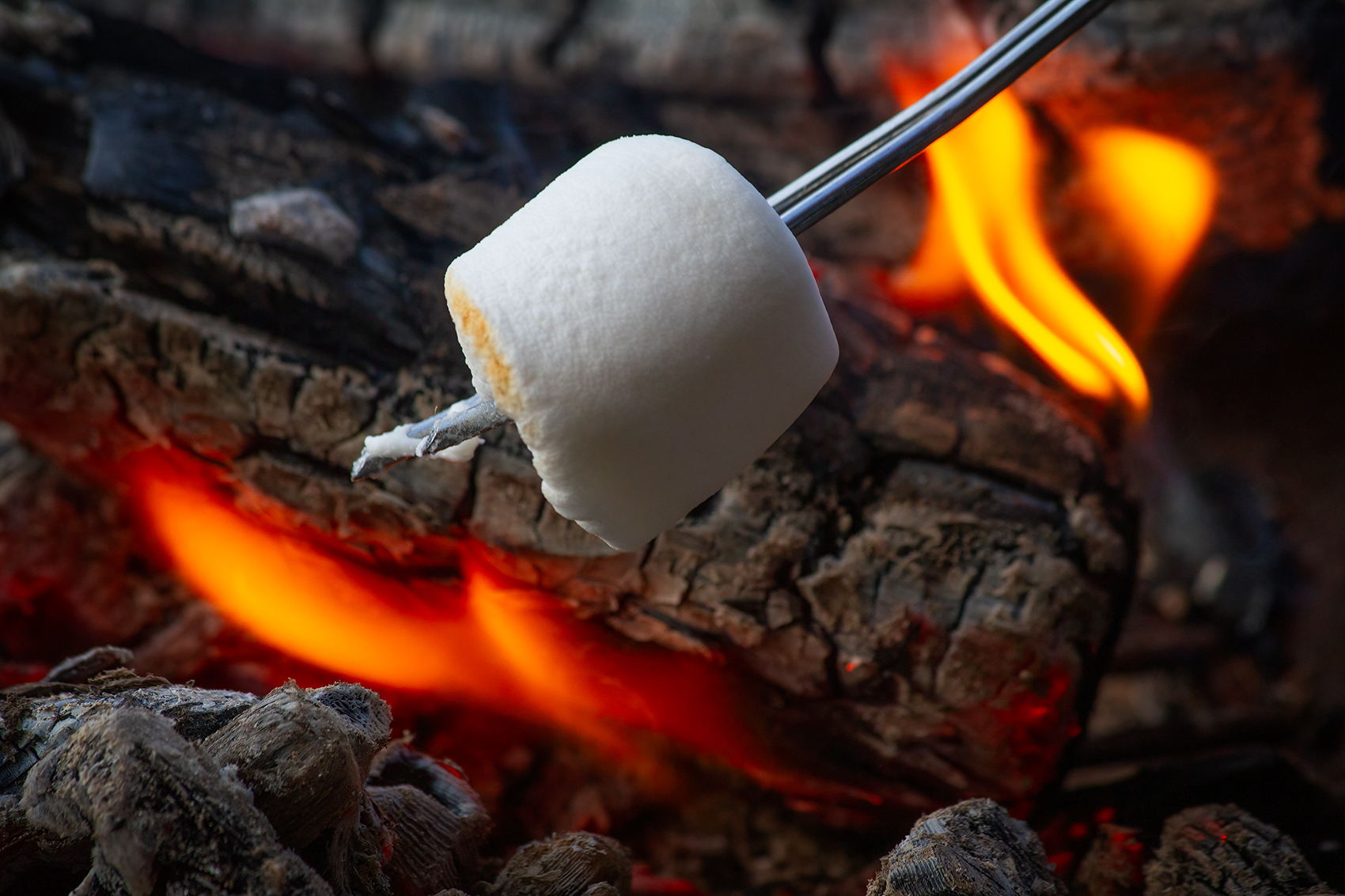 Marshmallow 01, My Backyard, Strathmore, AB, 2024-06-21