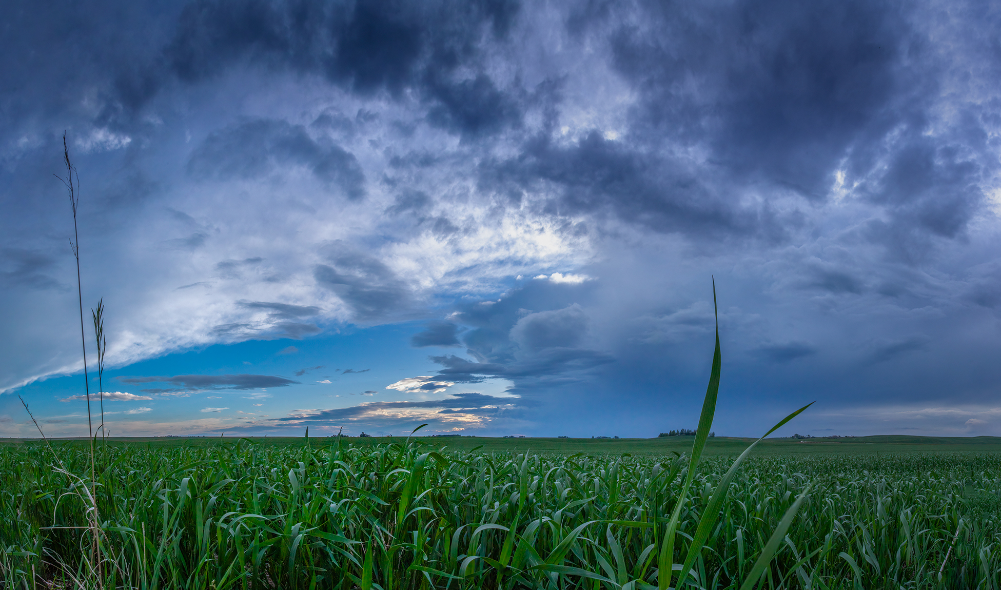 Came a cropper, Wheatland County, AB, 2024-06-30