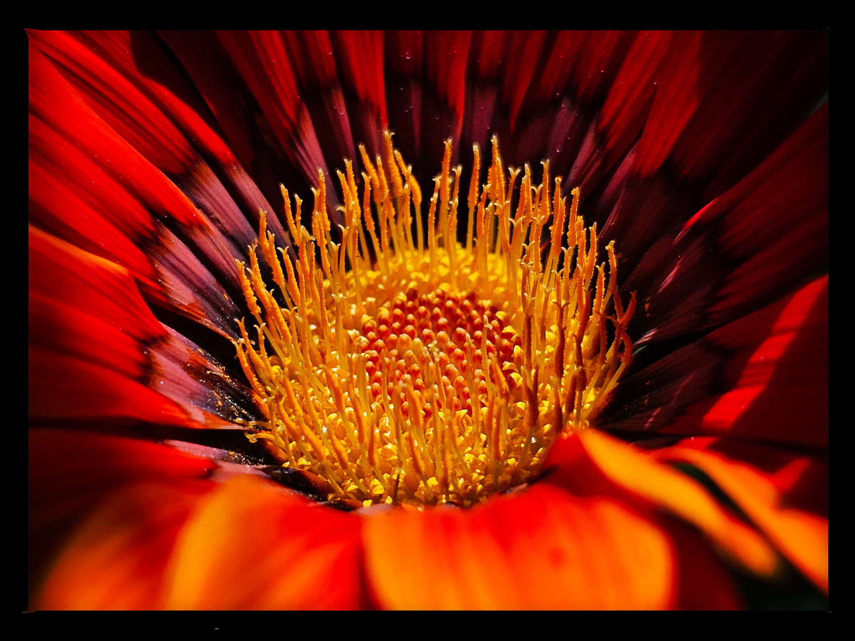Stuck in the middle with you, Downtown, Salmon Arm, BC, 2024-07-12
