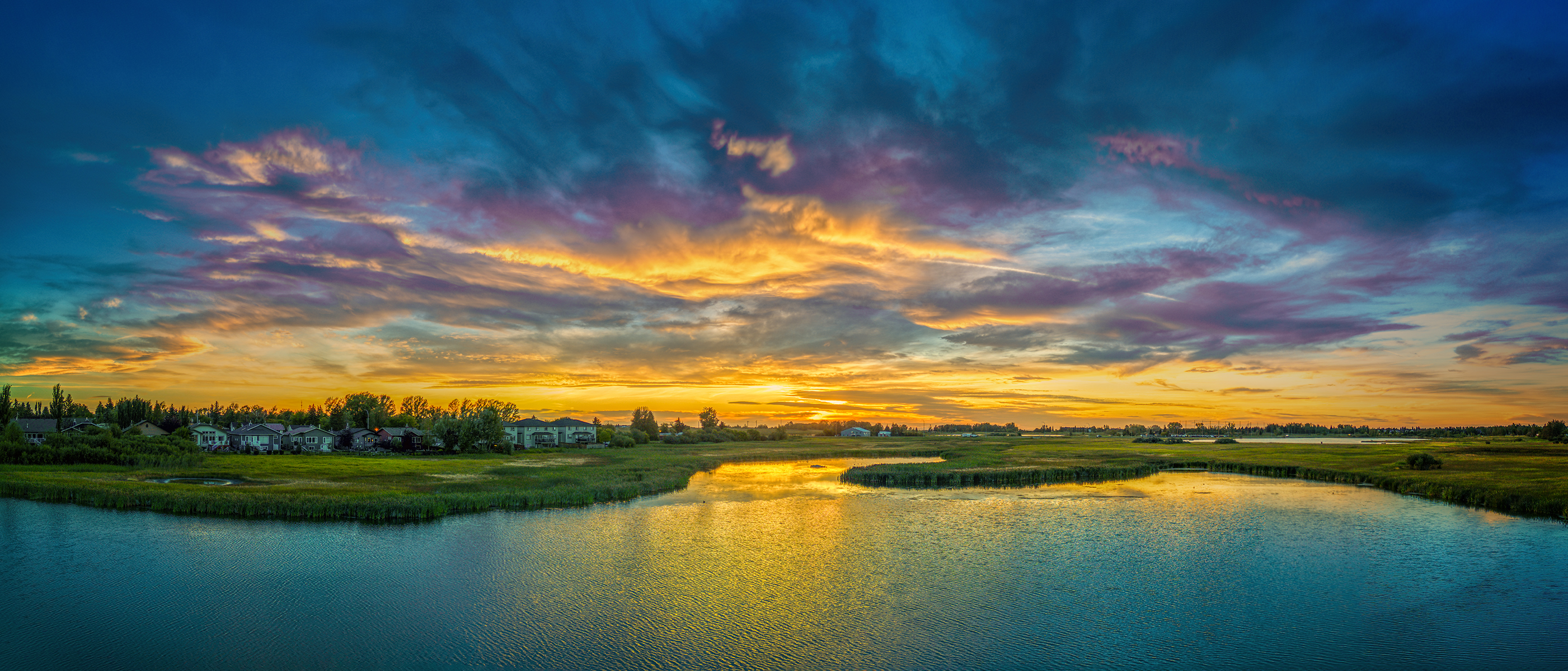 Everyone has an opinion, Lower Gray Pond, Strathmore, AB, 2024-08-26