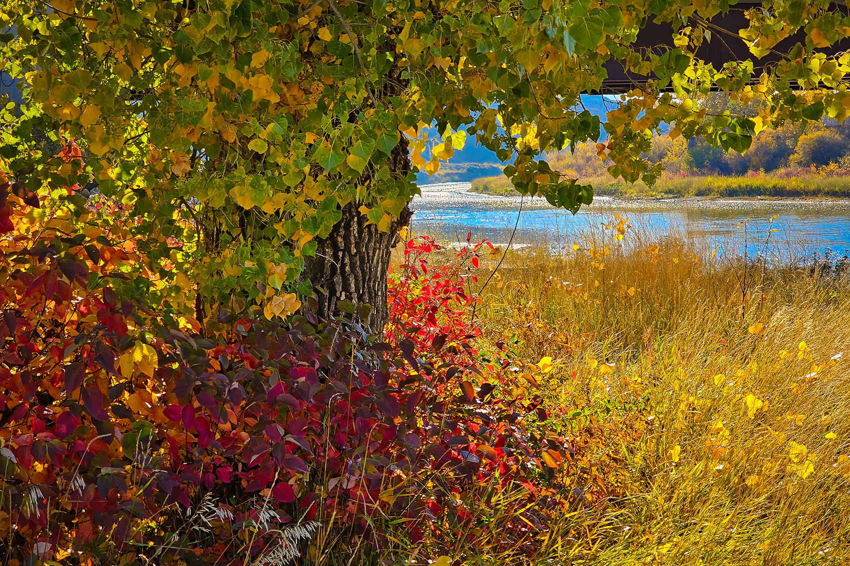 Dem Colours 01, Red Deer River, Wheatland County, AB, 2024-10-12