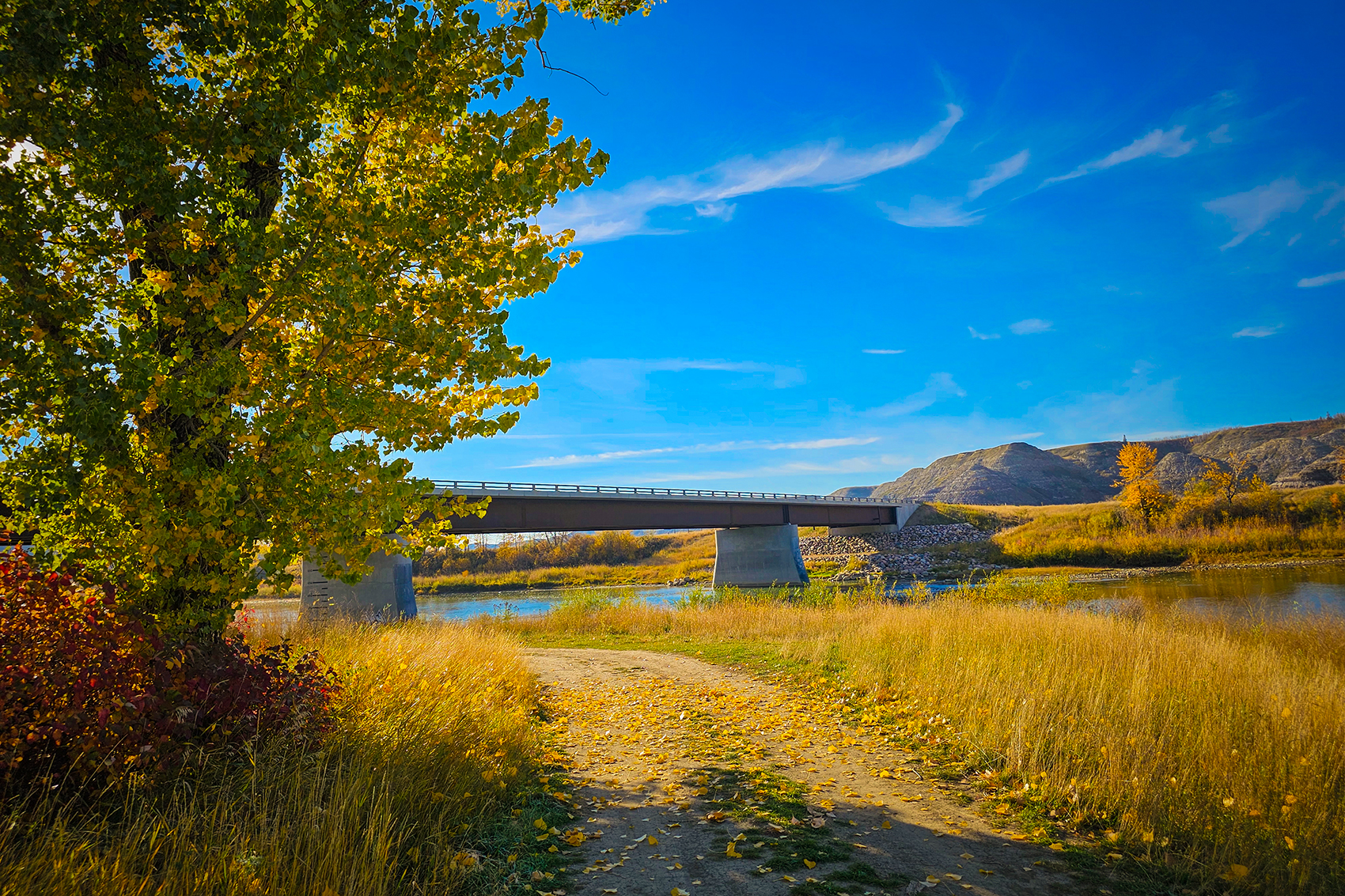New Bridge, Red Deer River, Wheatland County, AB, 2024-10-12
