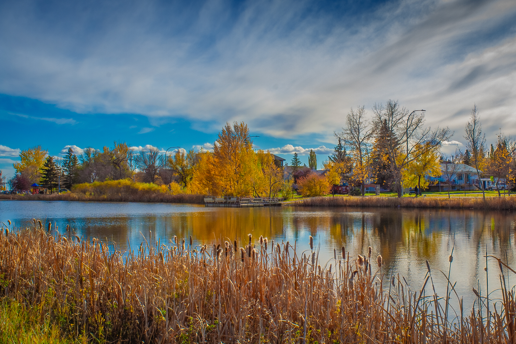 Another lark in the park, Kinsmen Park, Strathmore, AB, 2024-10-17