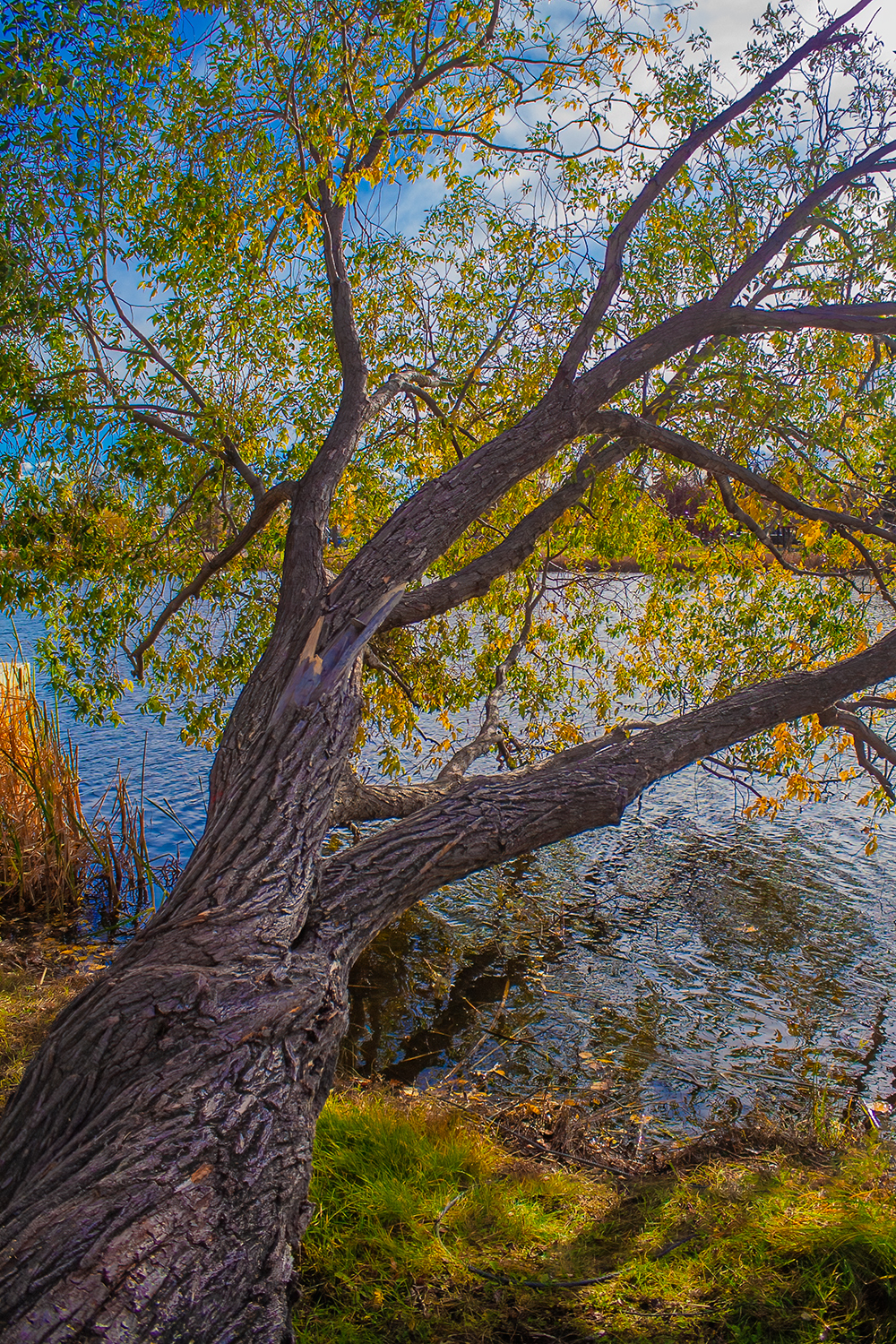 Doin' the twist, Kinsmen Park, Strathmore, AB, 2024-10-17