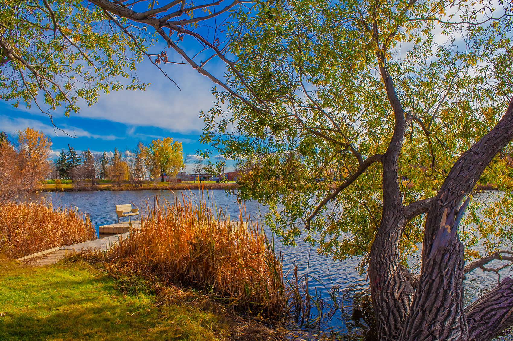Docking your pay, Kinsmen Park, Strathmore, AB, 2024-10-17