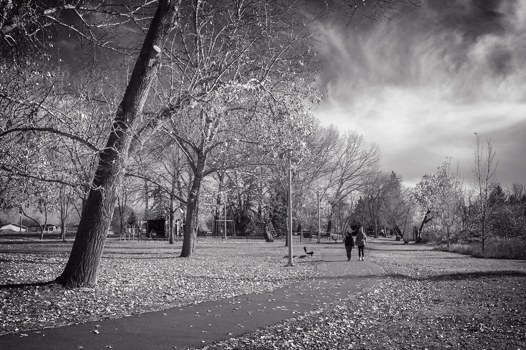 The walkers, Kinsmen Park, Strathmore, AB, 2024-11-02