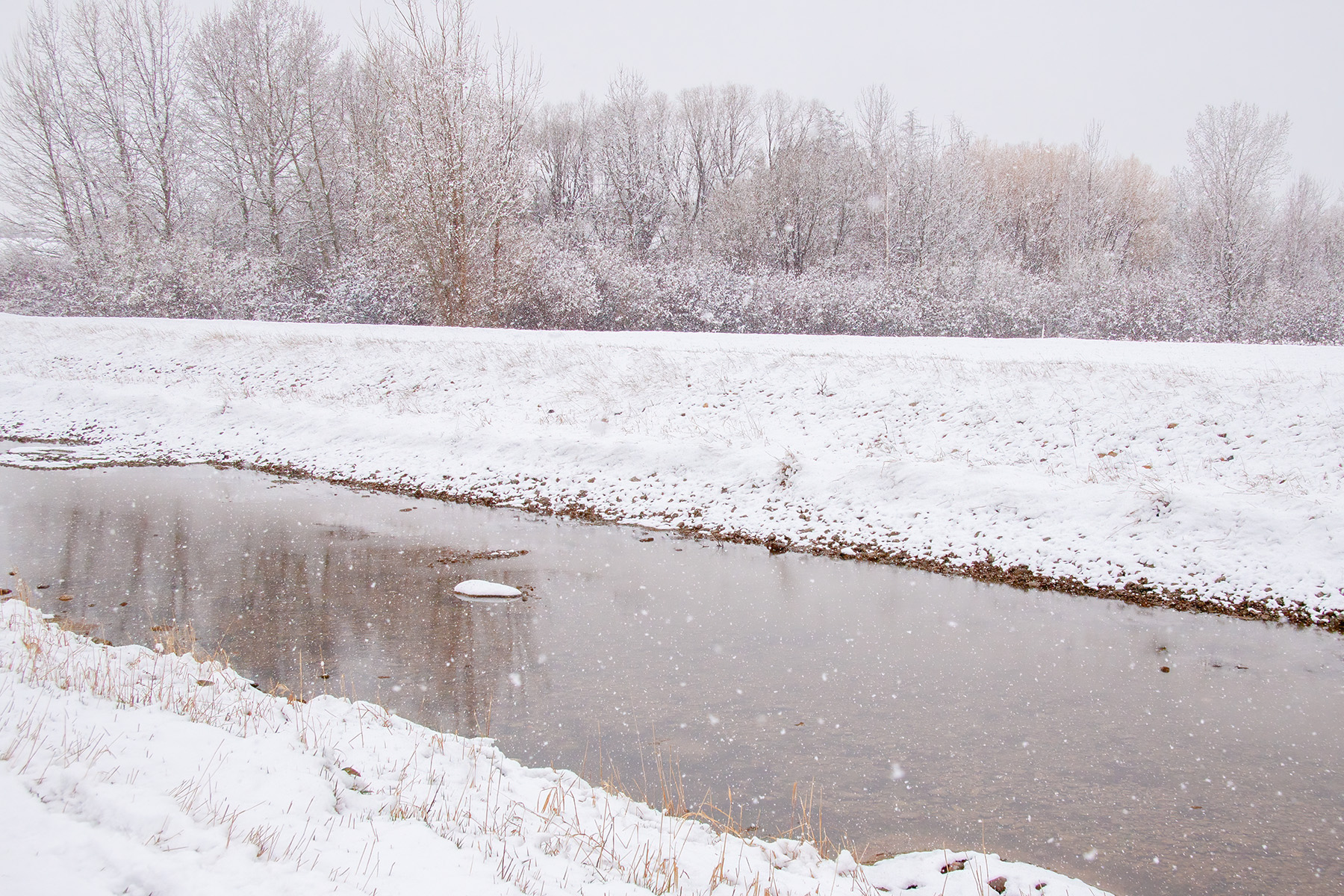 Walking along the canal, Thomas Drive, Strathmore, Alberta, 2025-04-20